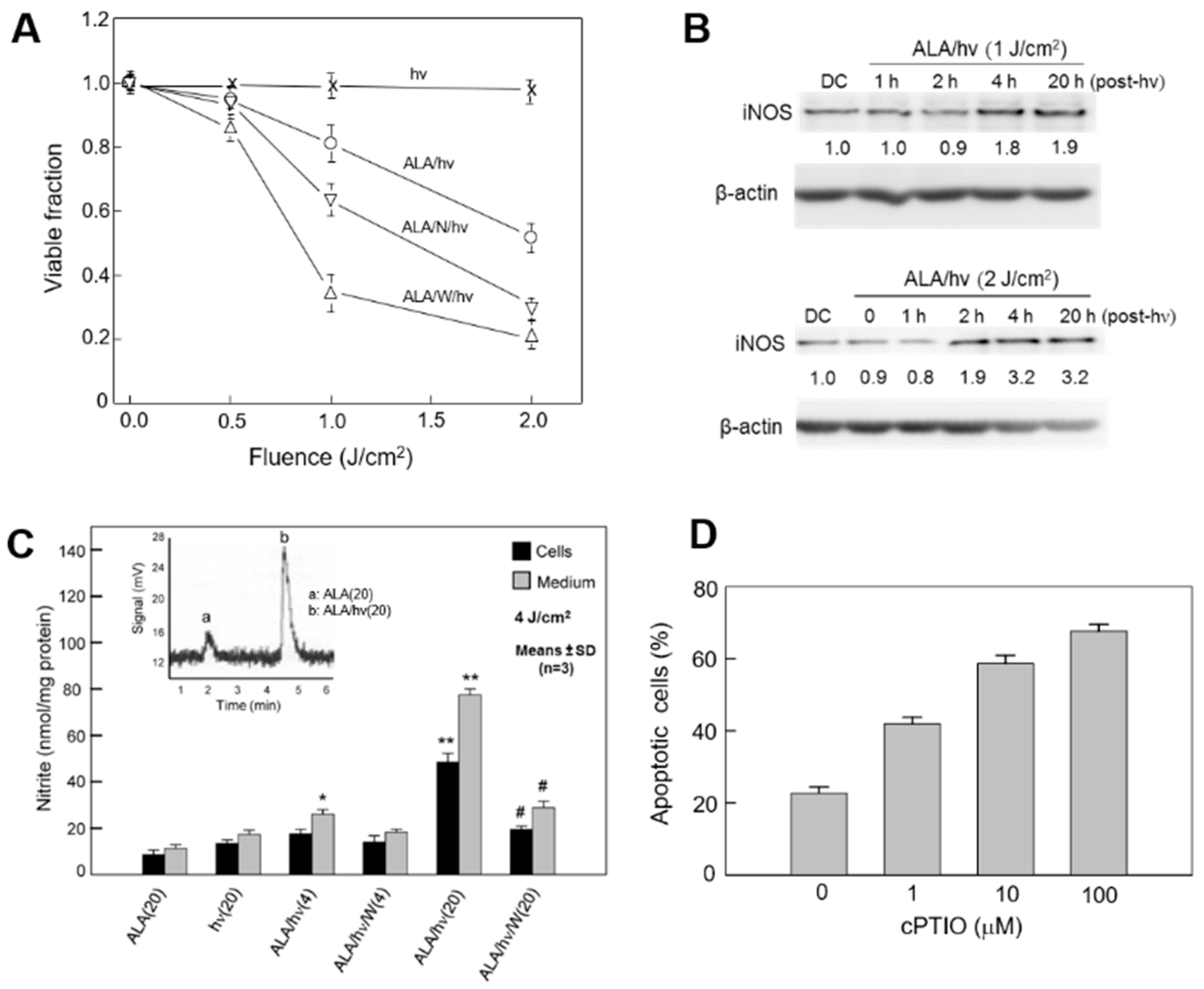 Pharmaceutics 13 00593 g005