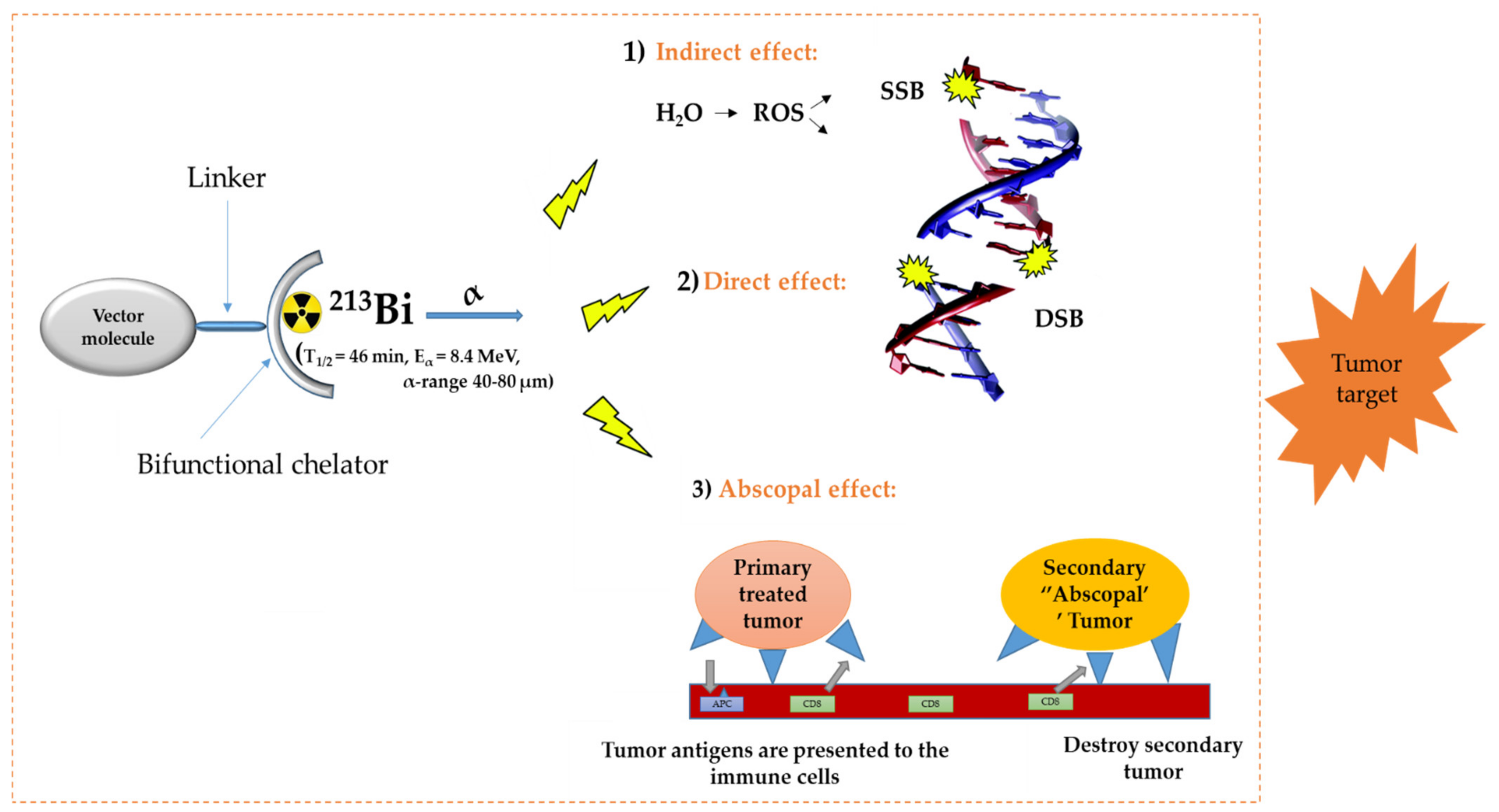 Pharmaceutics 13 00599 g001