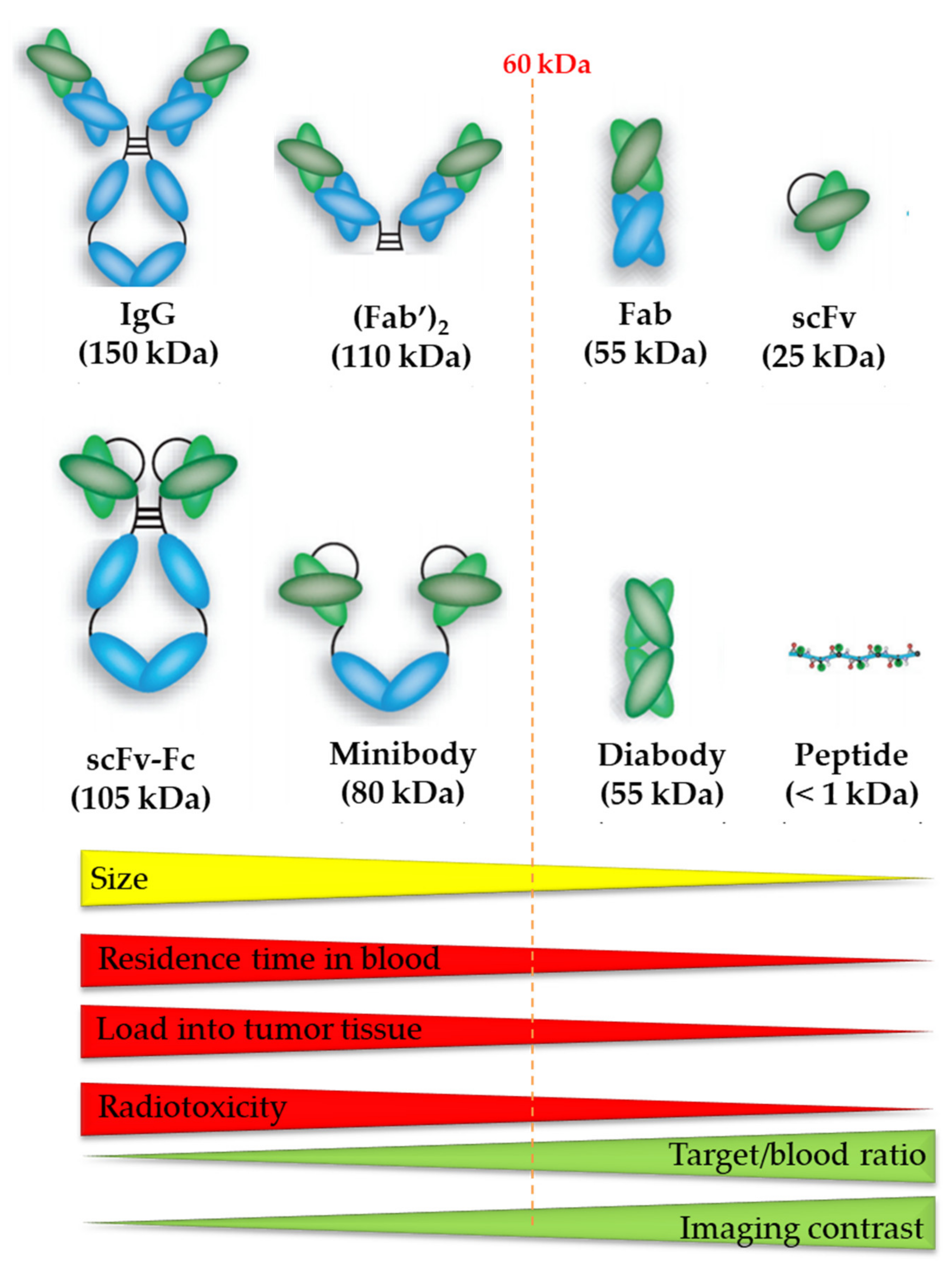Pharmaceutics 13 00599 g006