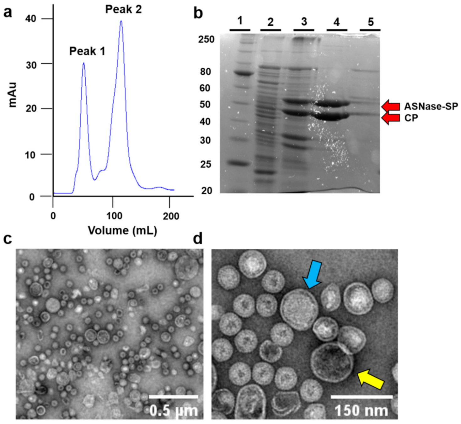 Pharmaceutics 13 00604 g002