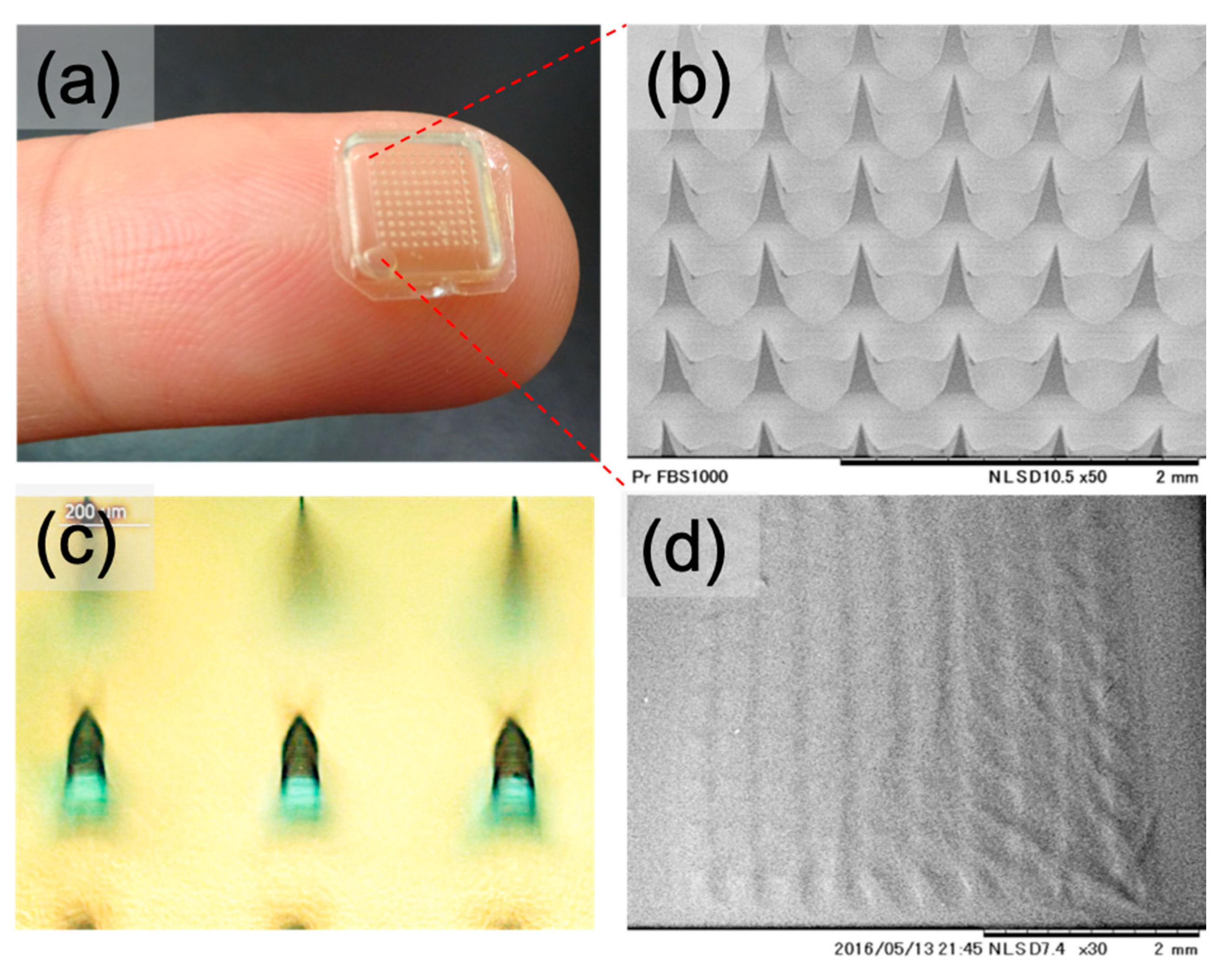 Pharmaceutics 13 00607 g002