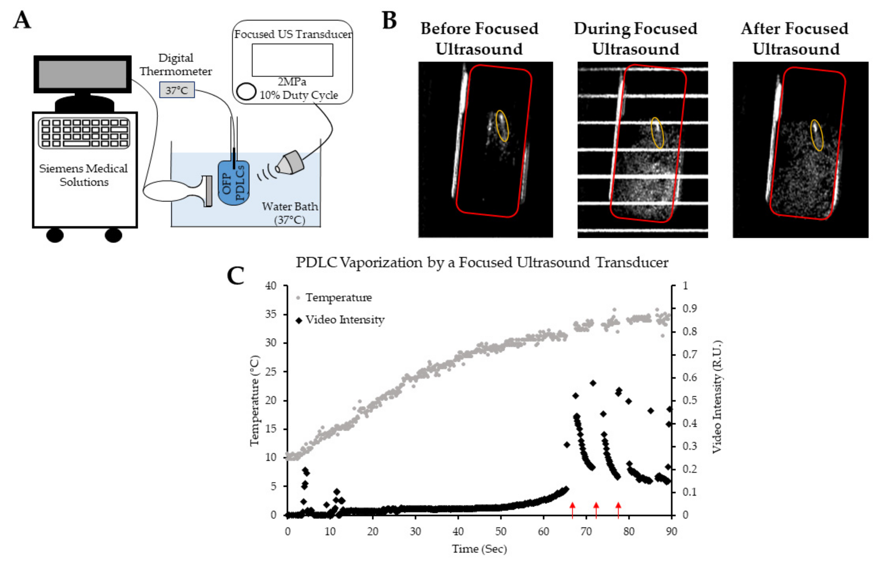 Pharmaceutics 13 00609 g009