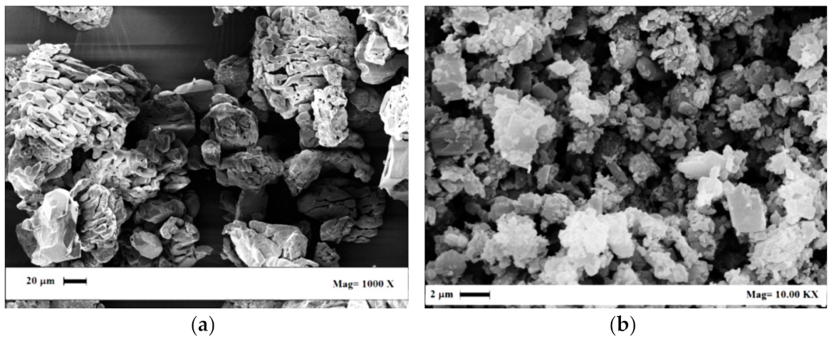 Pharmaceutics 13 00612 g007