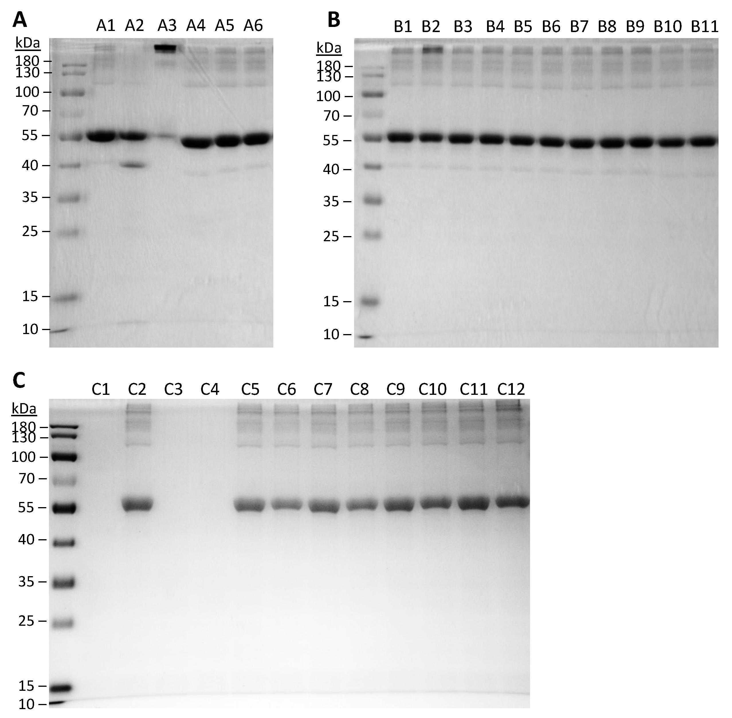 Pharmaceutics 13 00615 g002