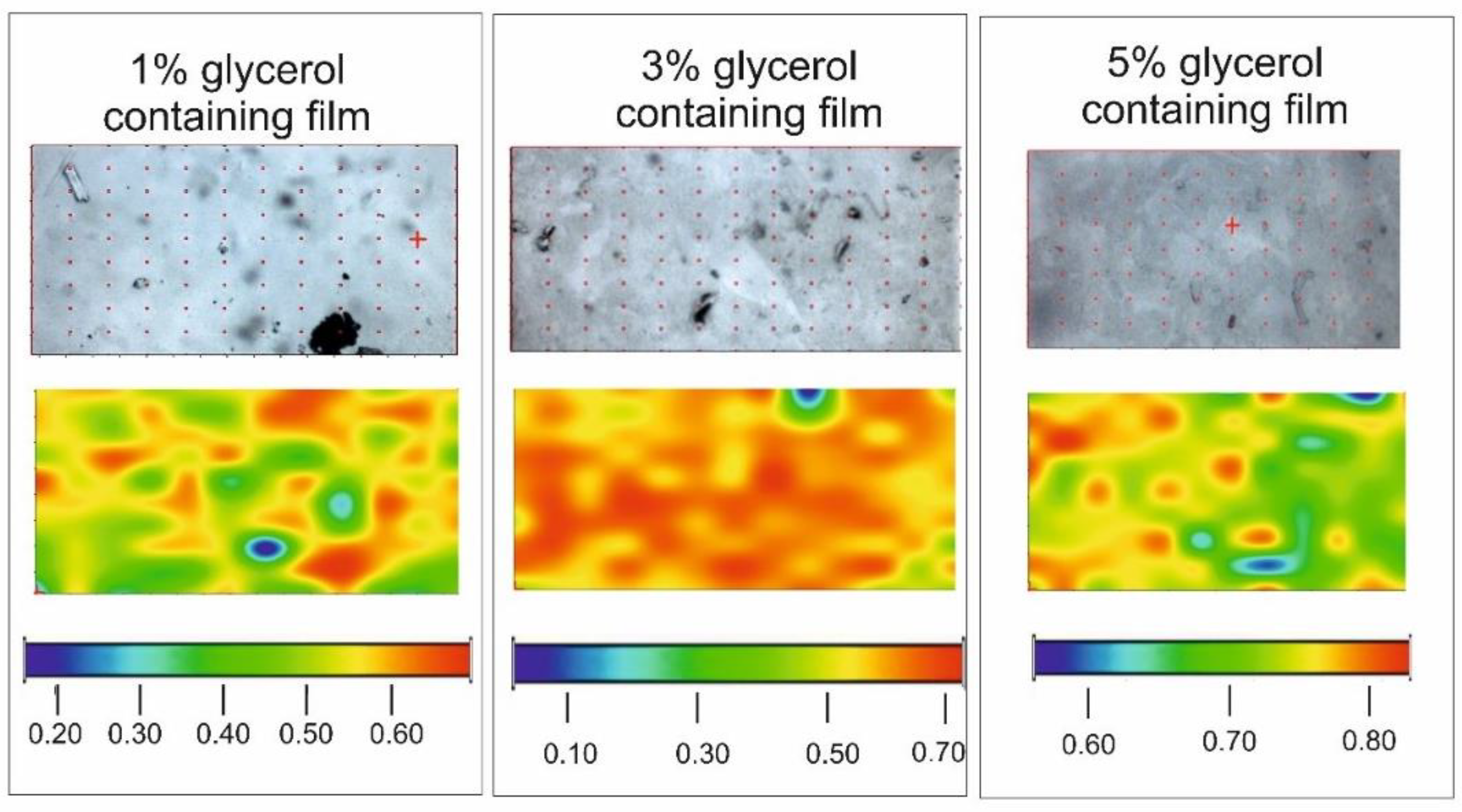 Pharmaceutics 13 00619 g005