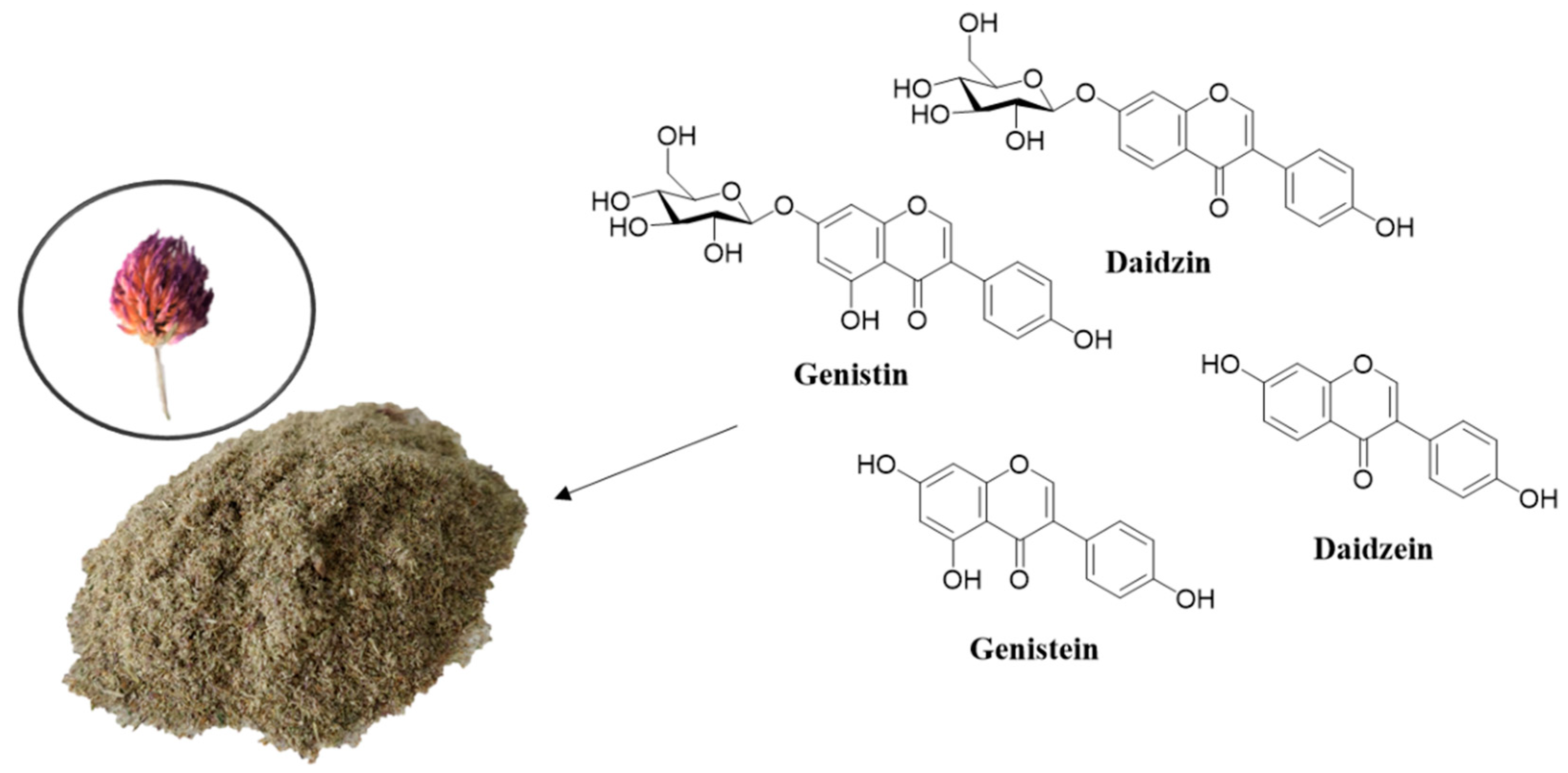 Pharmaceutics 13 00620 g001
