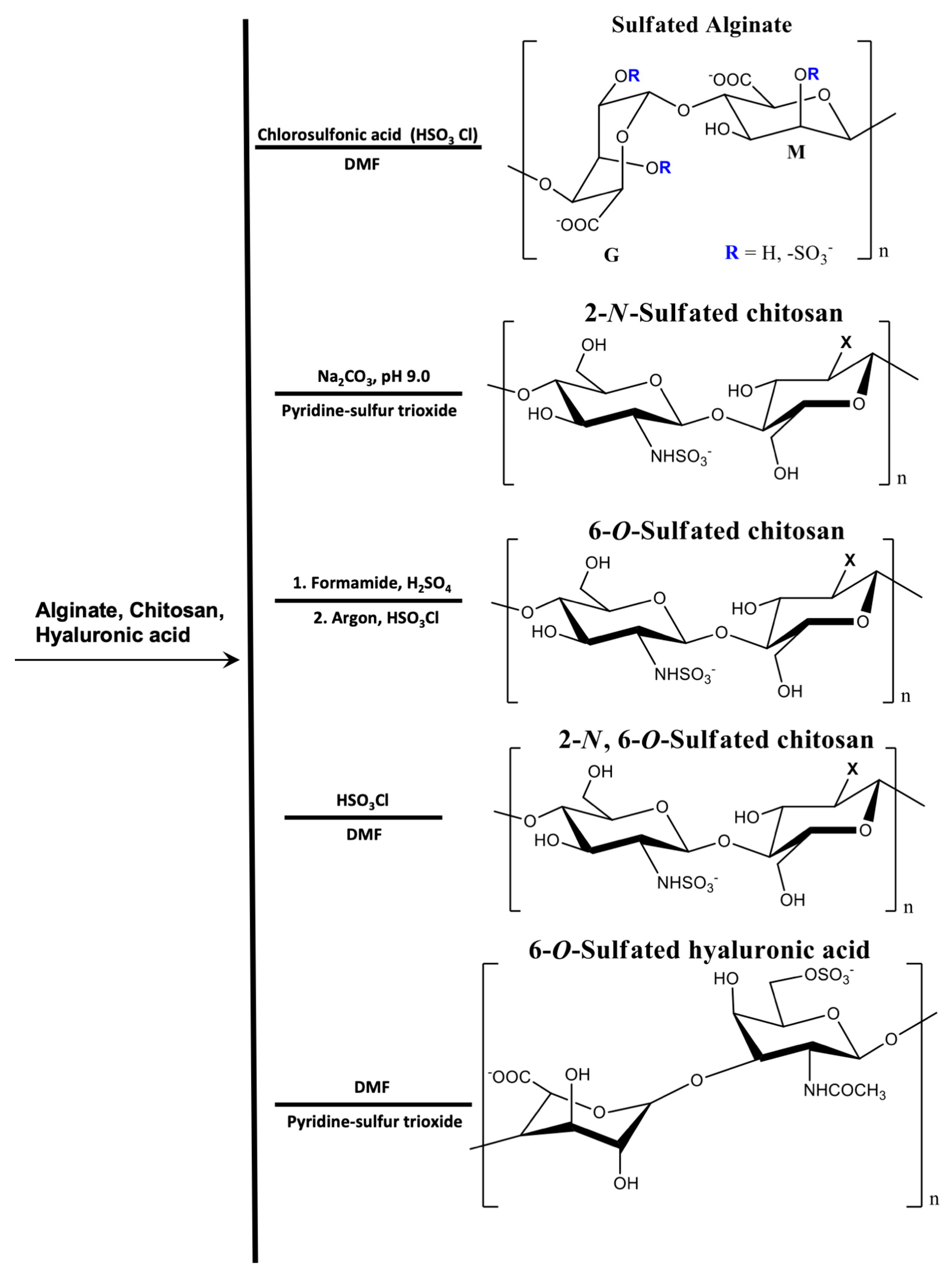 Pharmaceutics 13 00621 g007