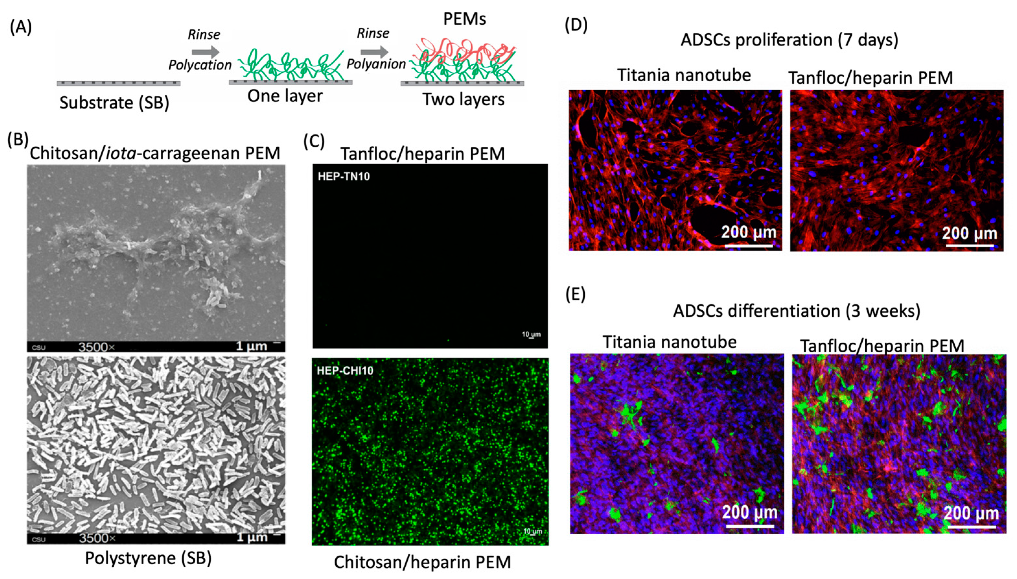 Pharmaceutics 13 00621 g010