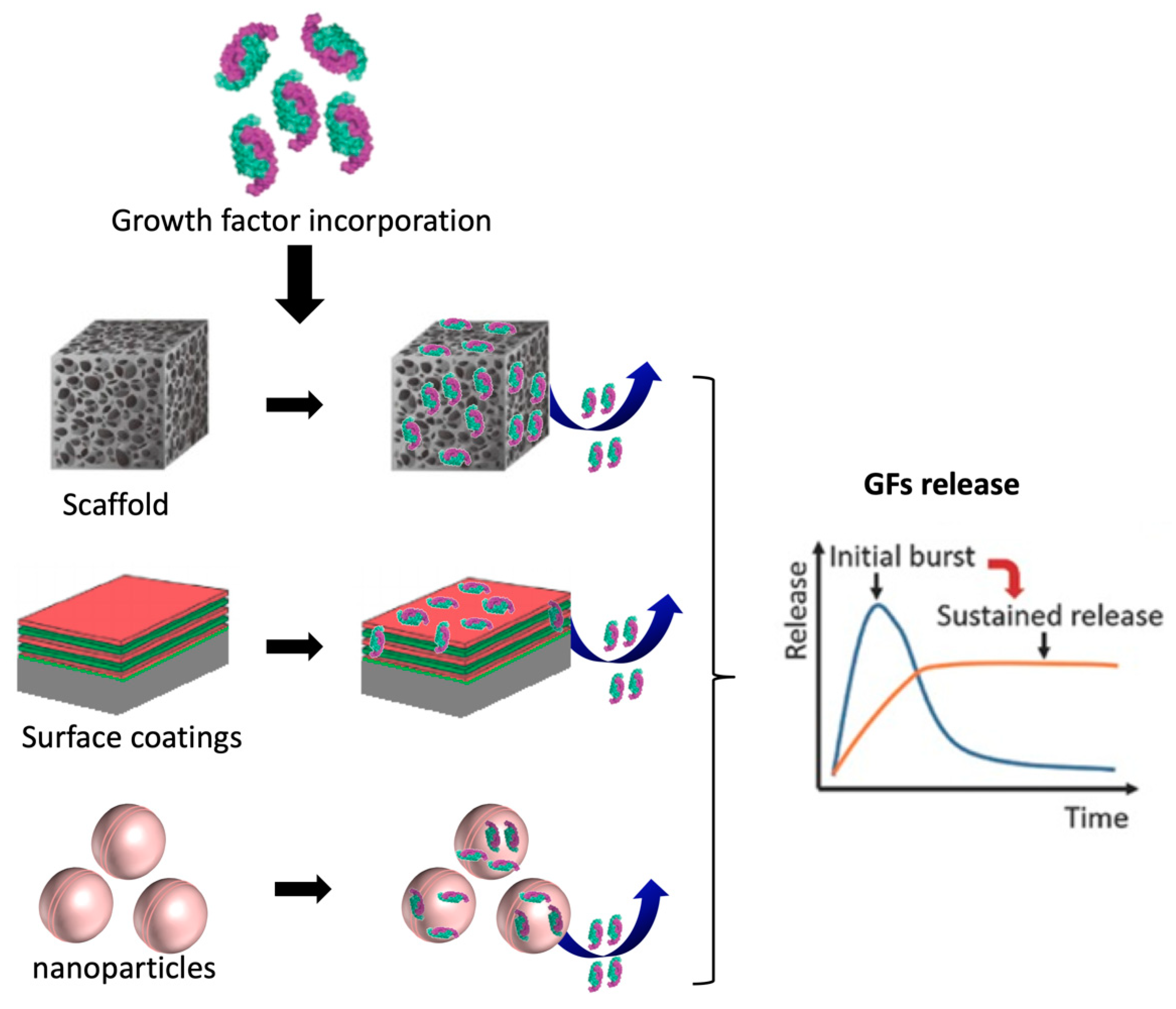 Pharmaceutics 13 00621 g011