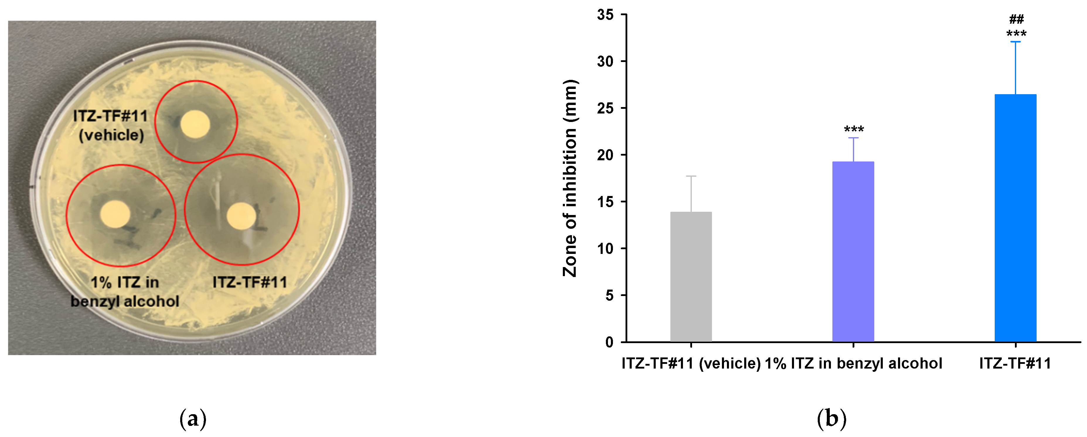Pharmaceutics 13 00622 g002