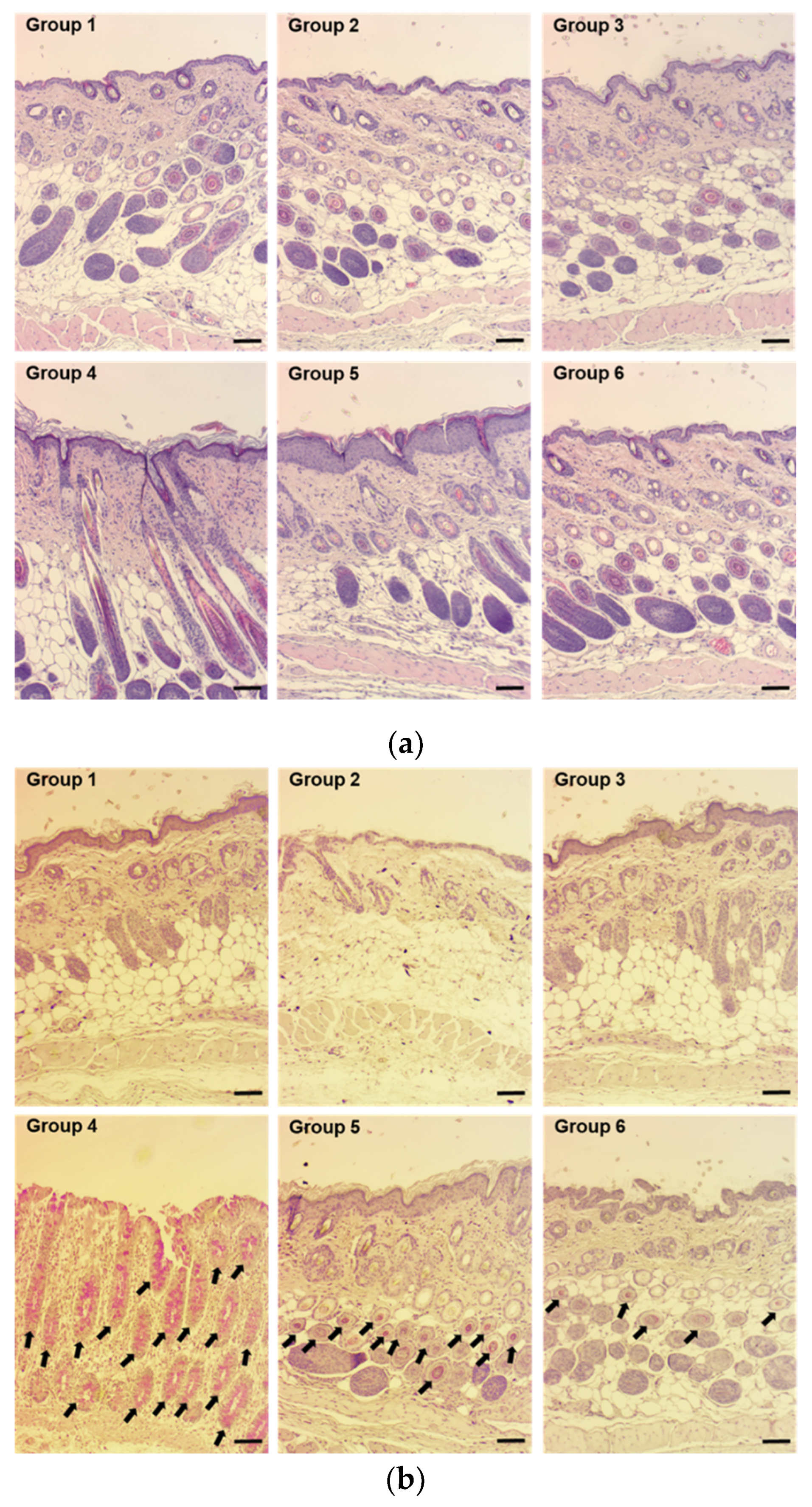 Pharmaceutics 13 00622 g005