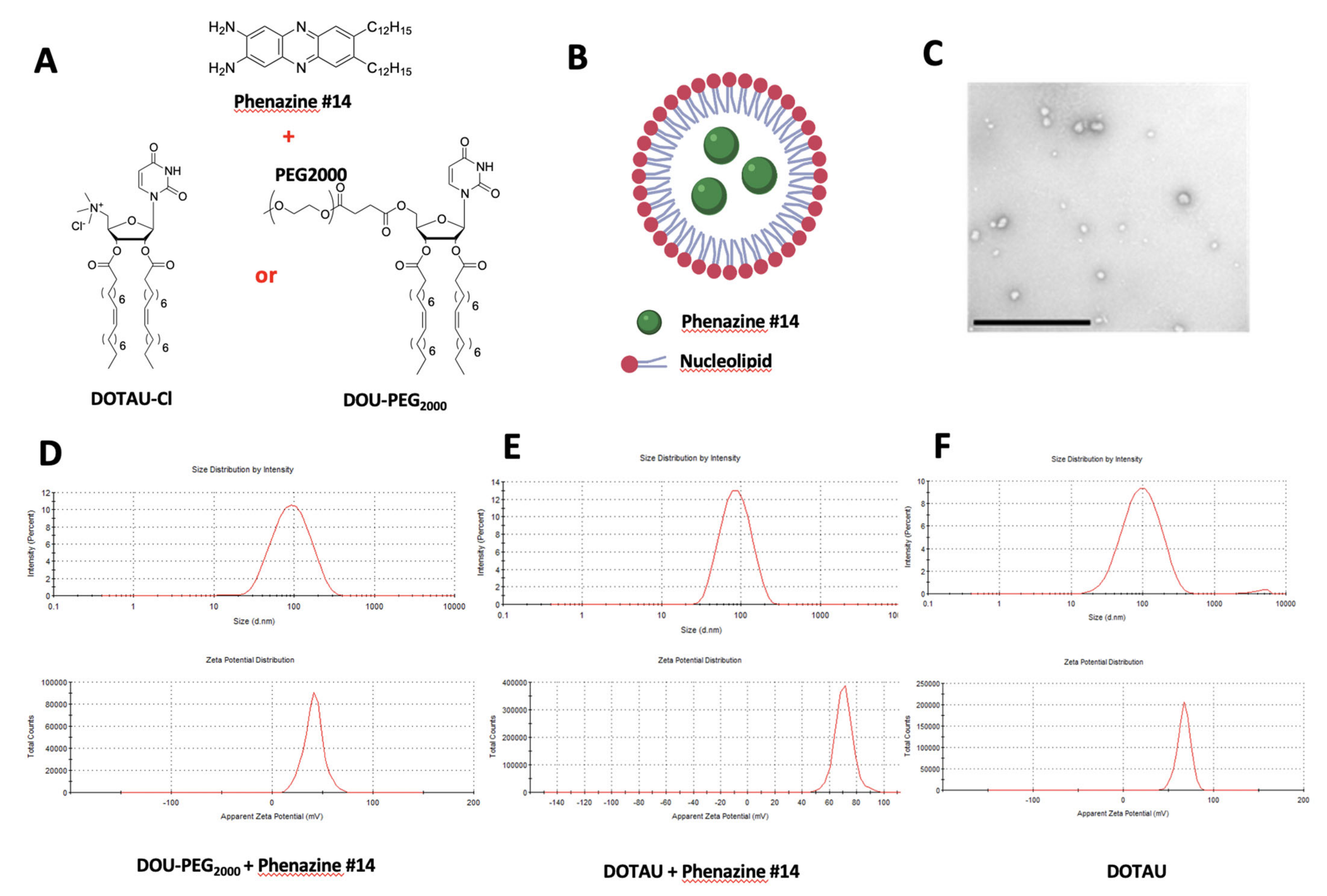 Pharmaceutics 13 00623 g001 Pharmaceutics 13 00623 g001