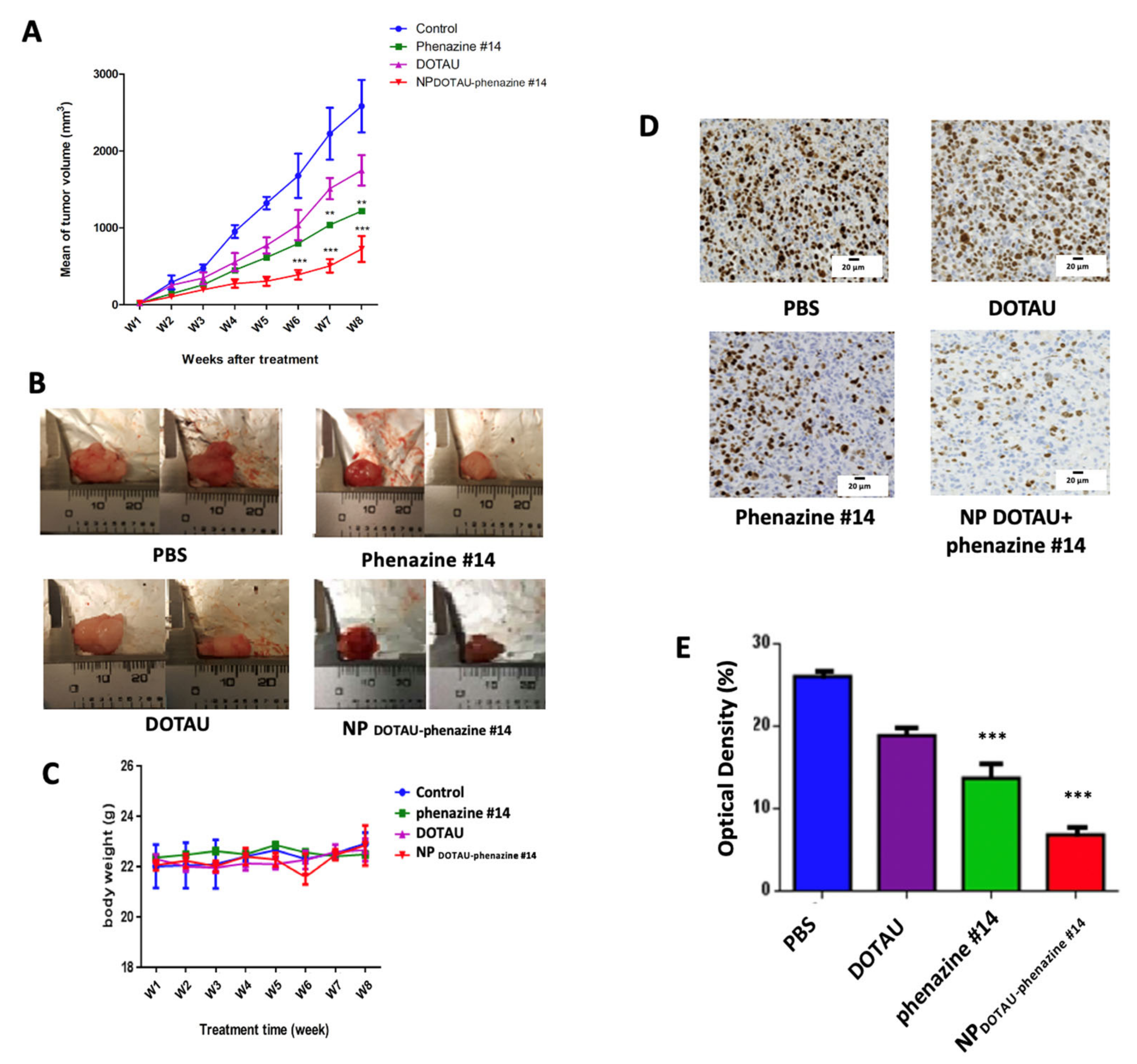 Pharmaceutics 13 00623 g005 Pharmaceutics 13 00623 g005