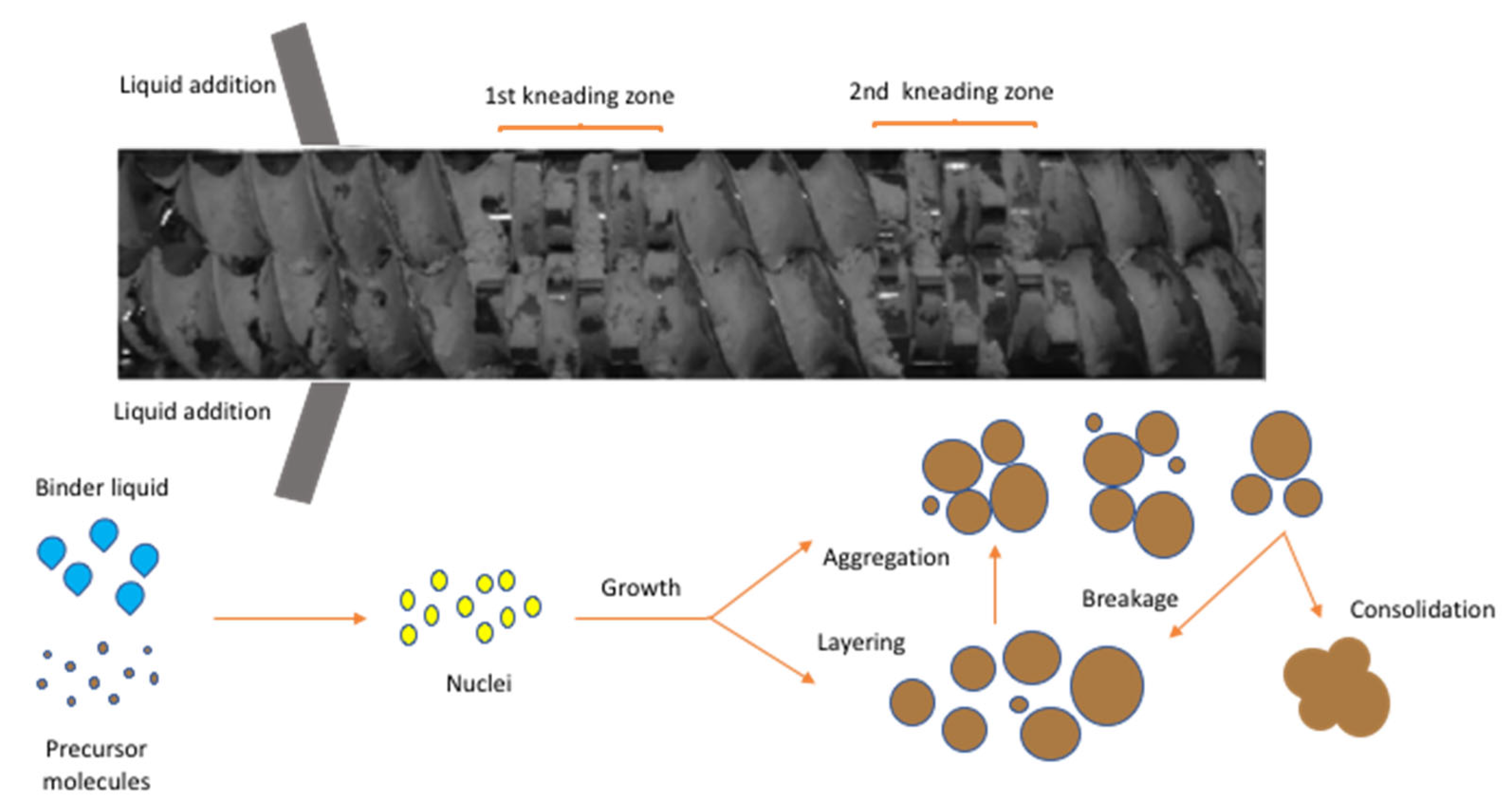 Pharmaceutics 13 00624 g008