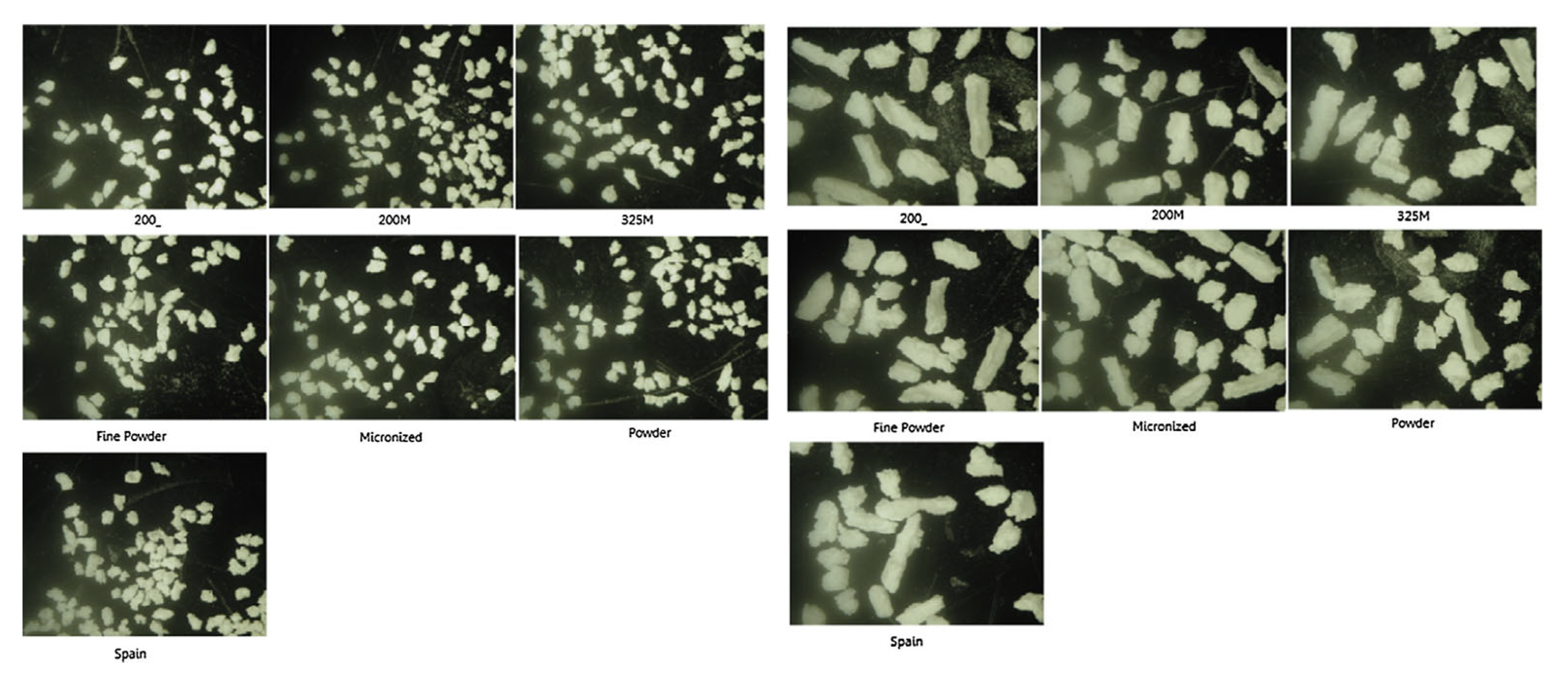 Pharmaceutics 13 00624 g013