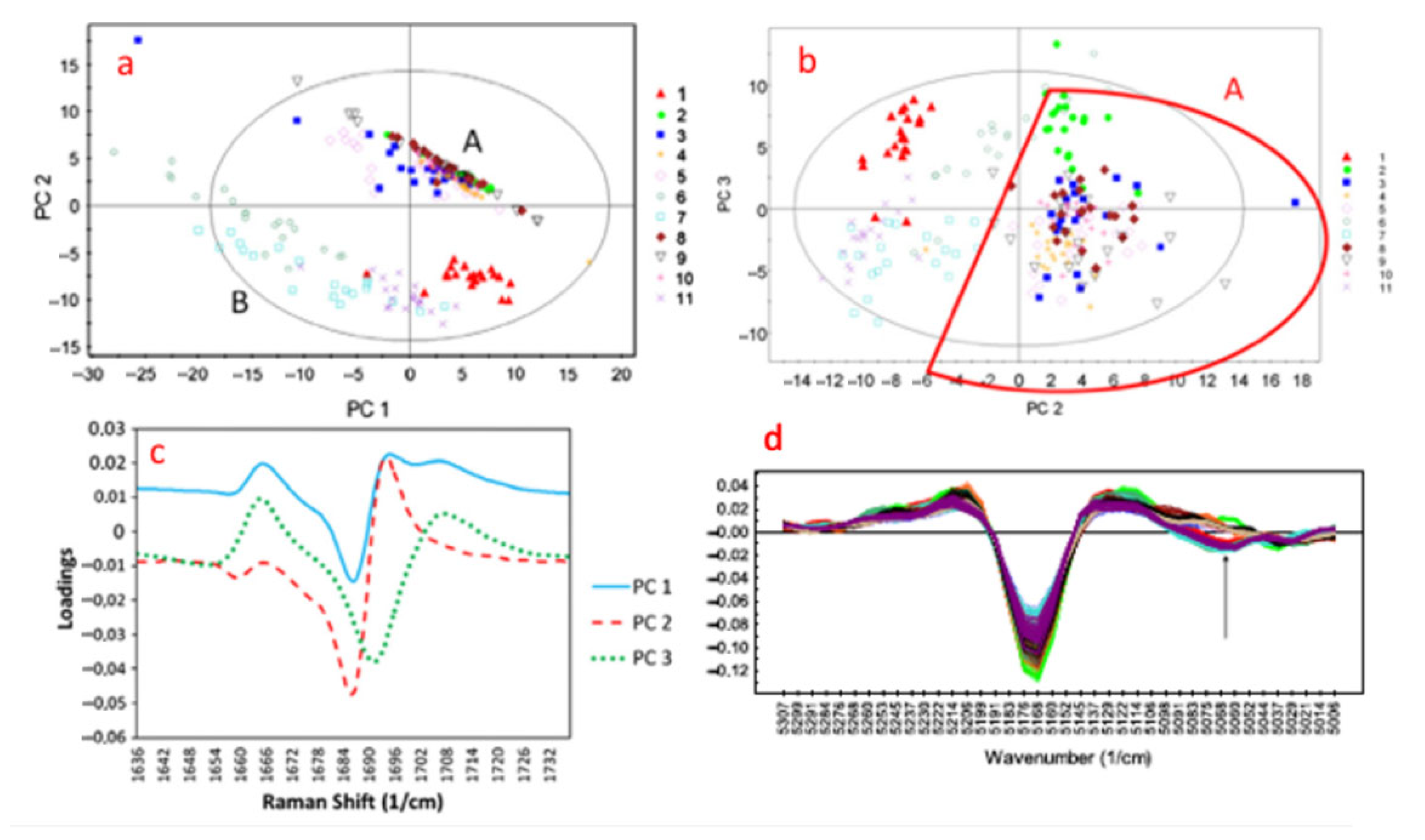 Pharmaceutics 13 00624 g016