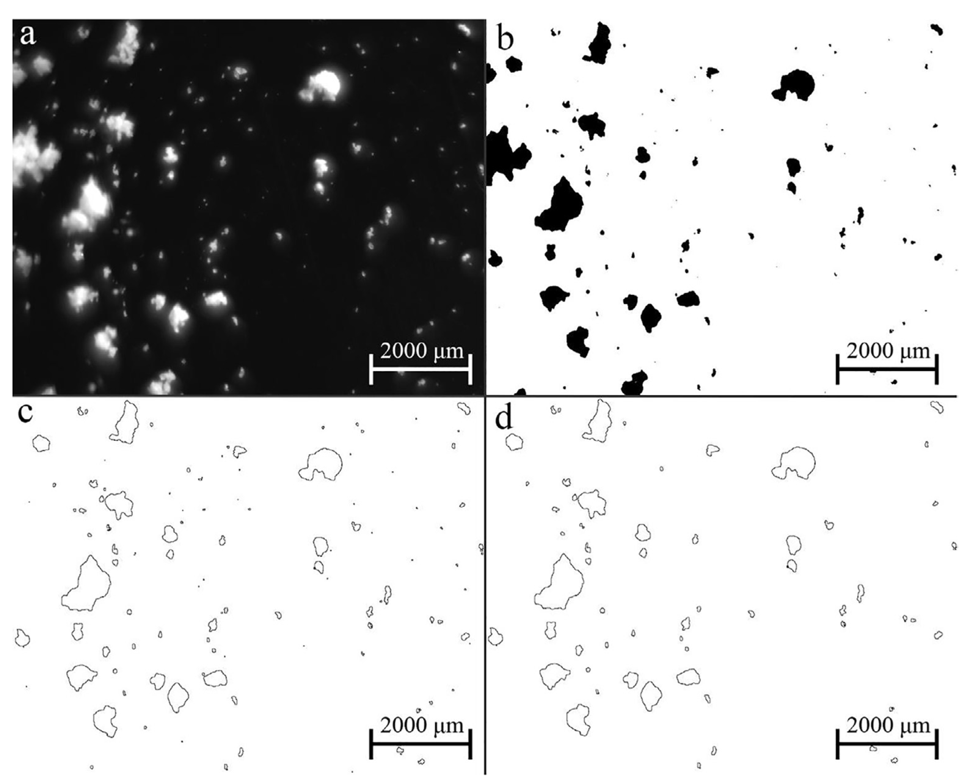 Pharmaceutics 13 00624 g017
