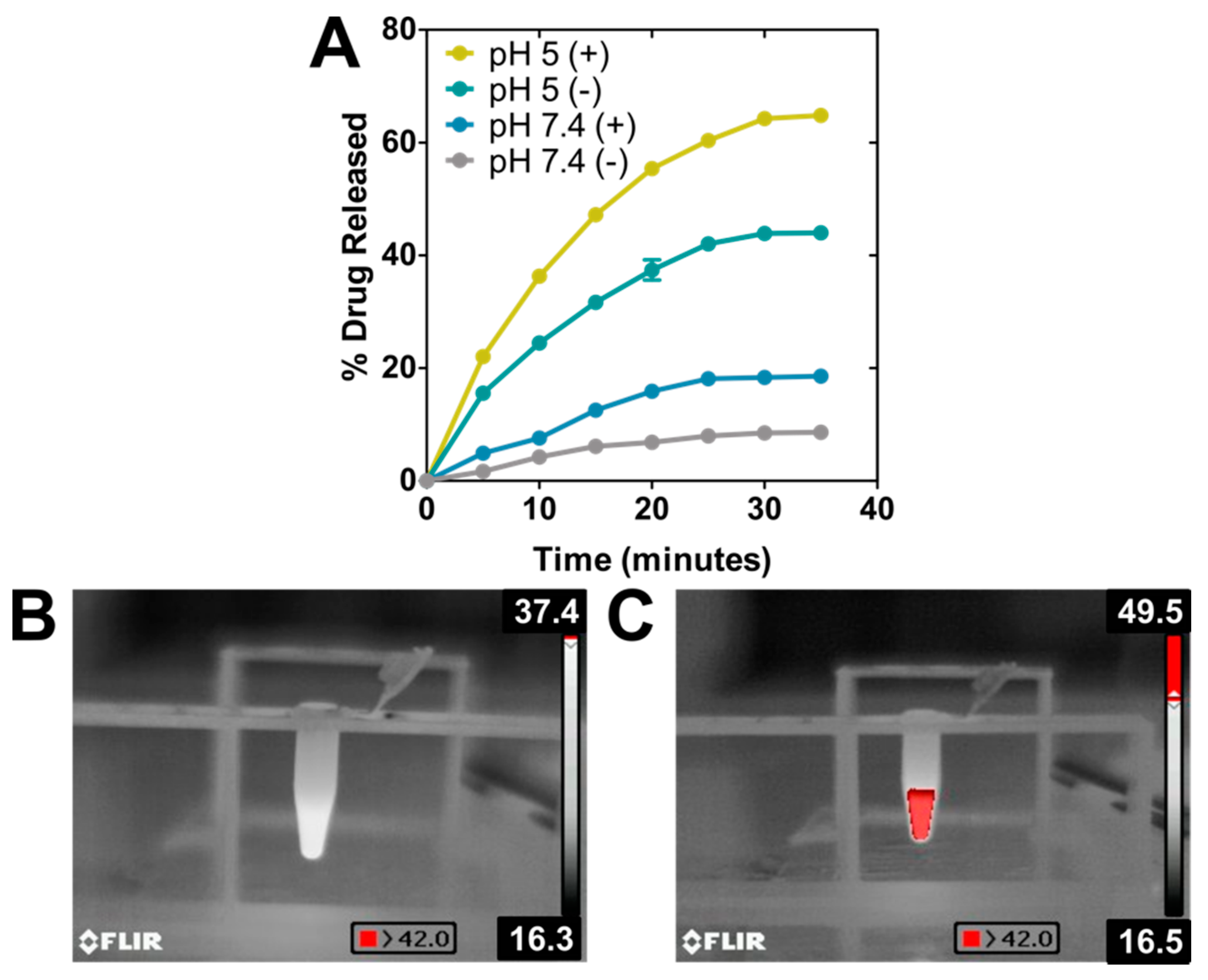 Pharmaceutics 13 00625 g003