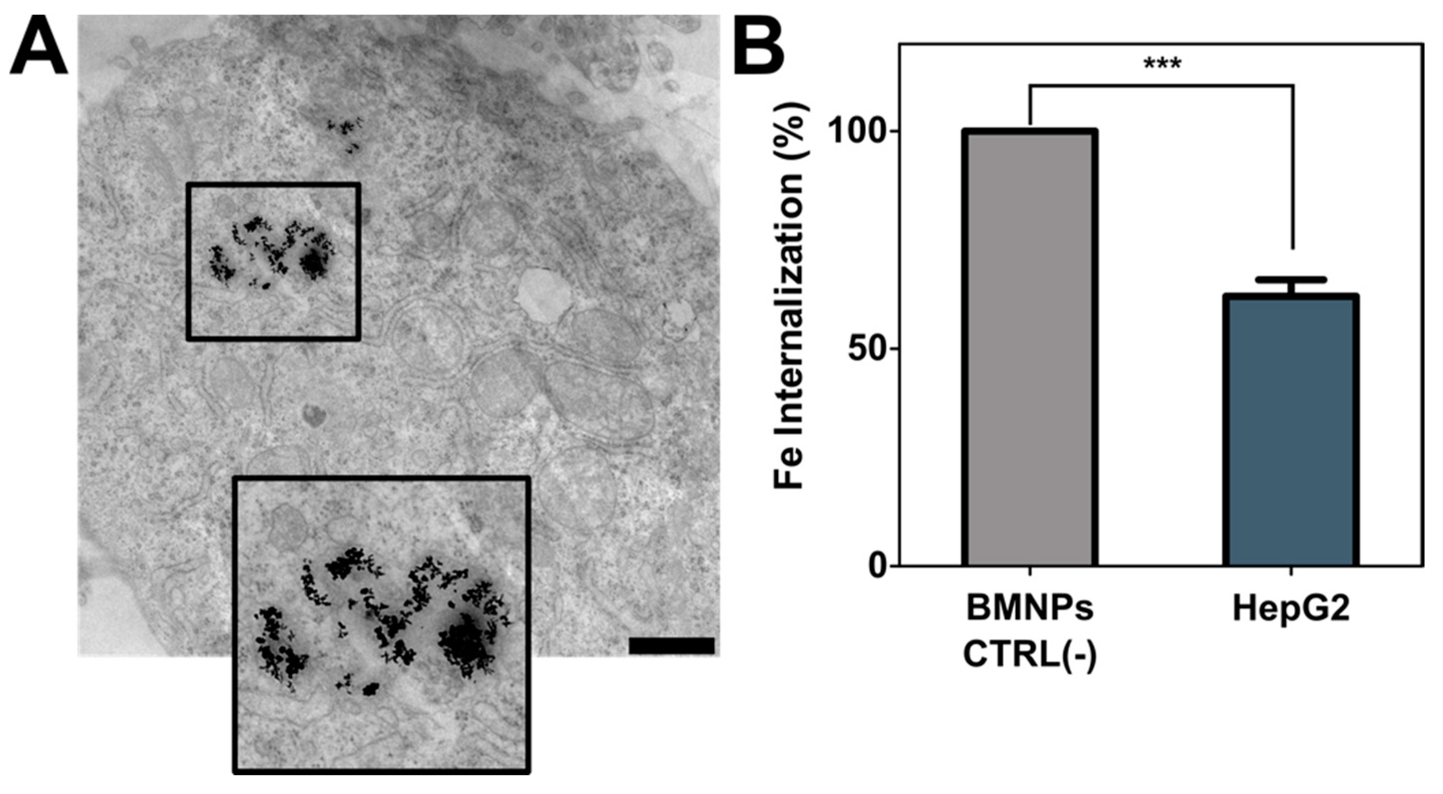 Pharmaceutics 13 00625 g004