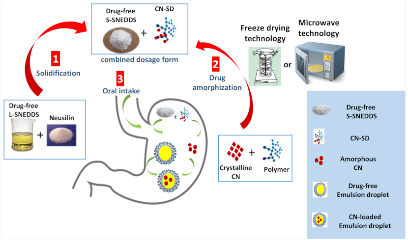Pharmaceutics 13 00627 g001