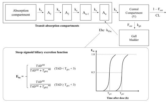 Pharmaceutics 13 00629 g003