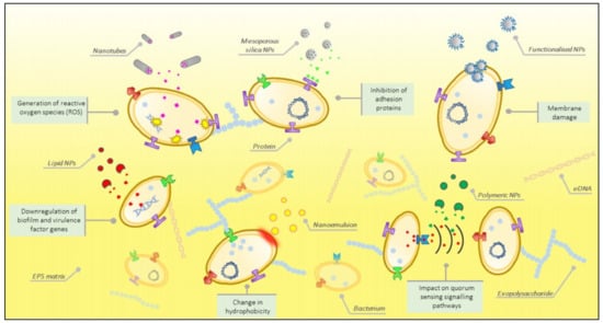 Pharmaceutics 13 00631 g001