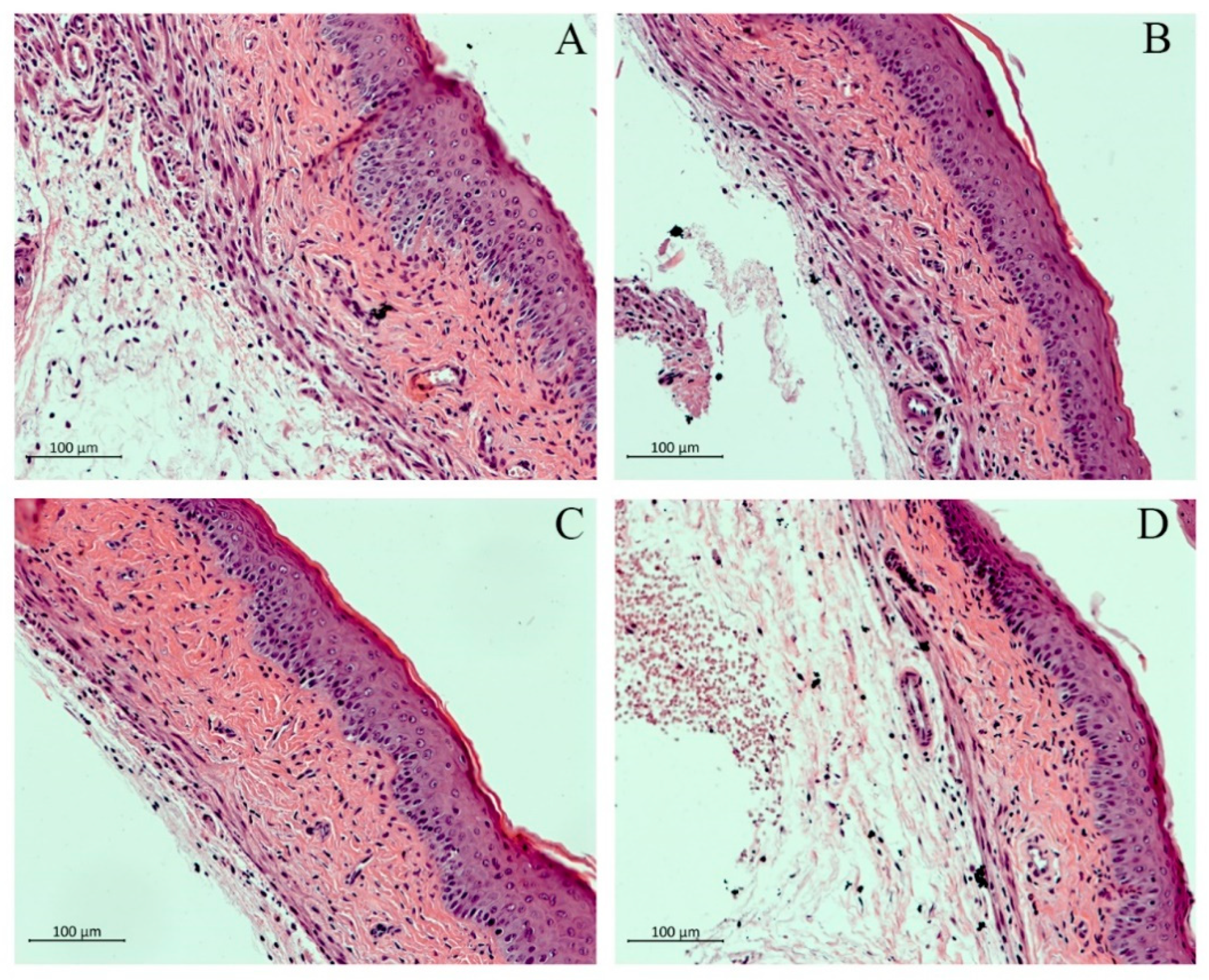 Pharmaceutics 13 00633 g003