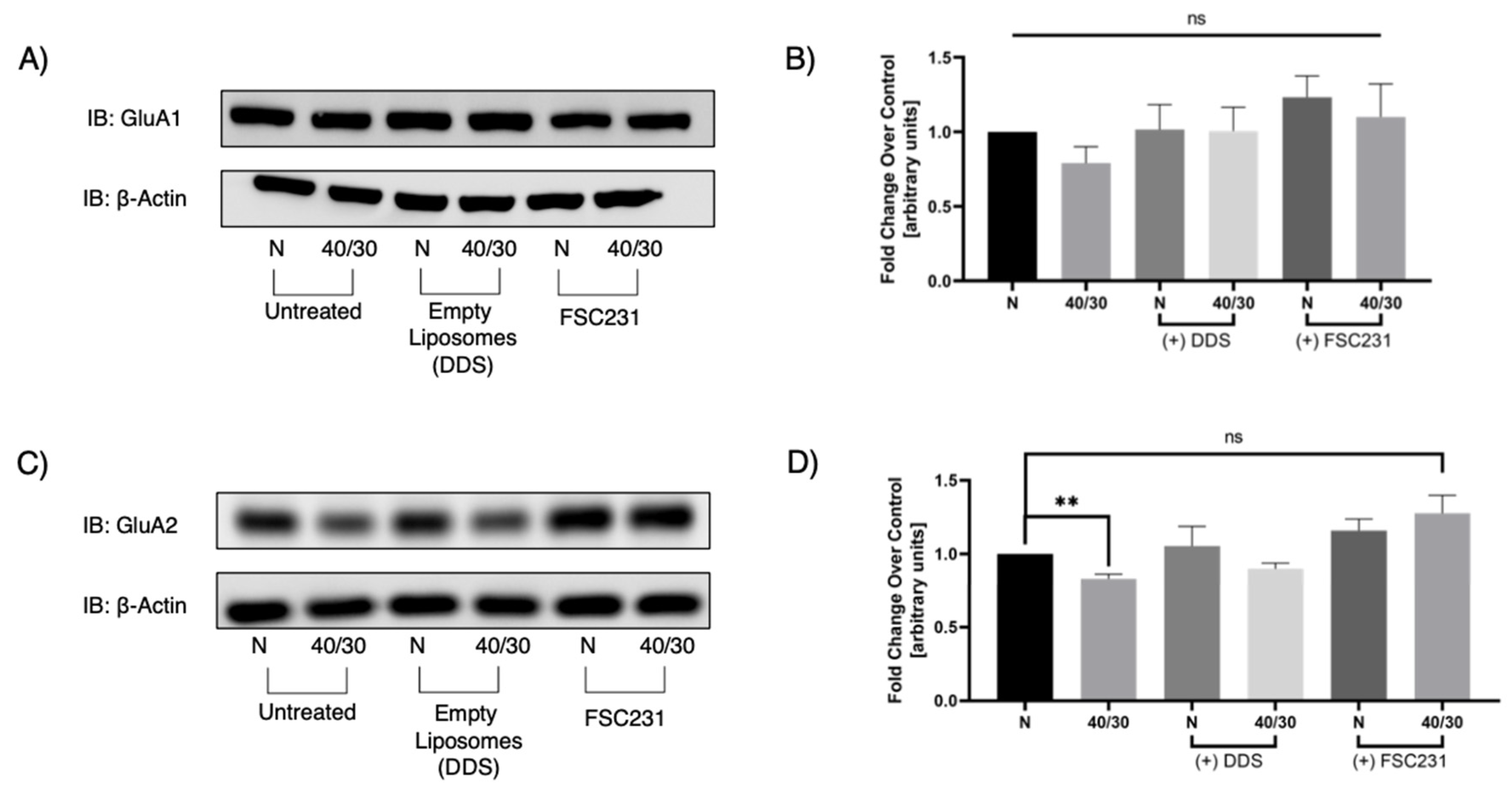 Pharmaceutics 13 00636 g006