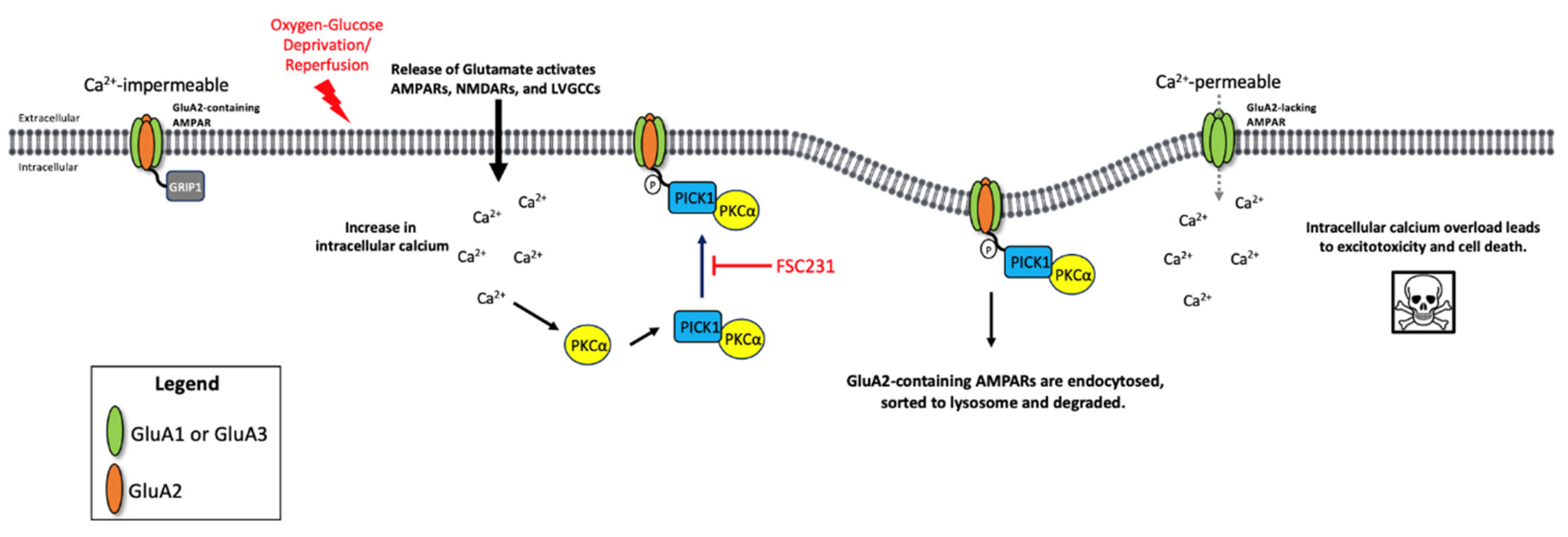 Pharmaceutics 13 00636 g007