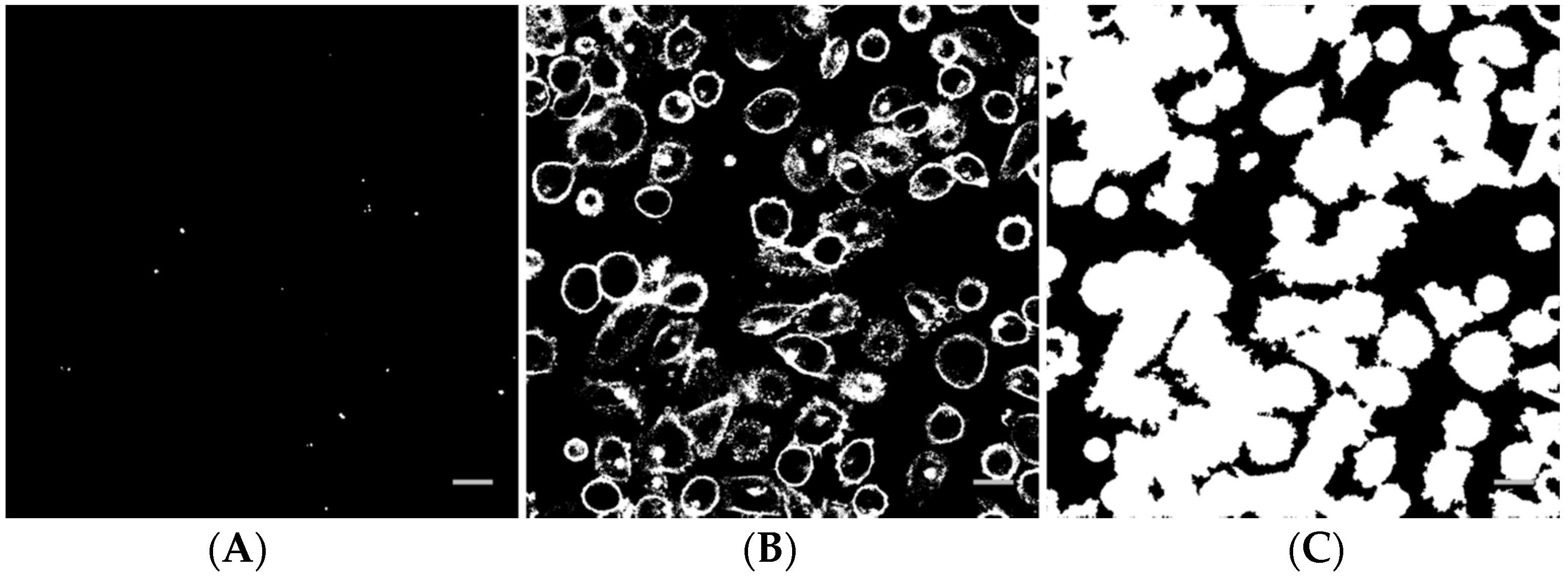 Pharmaceutics 13 00640 g002