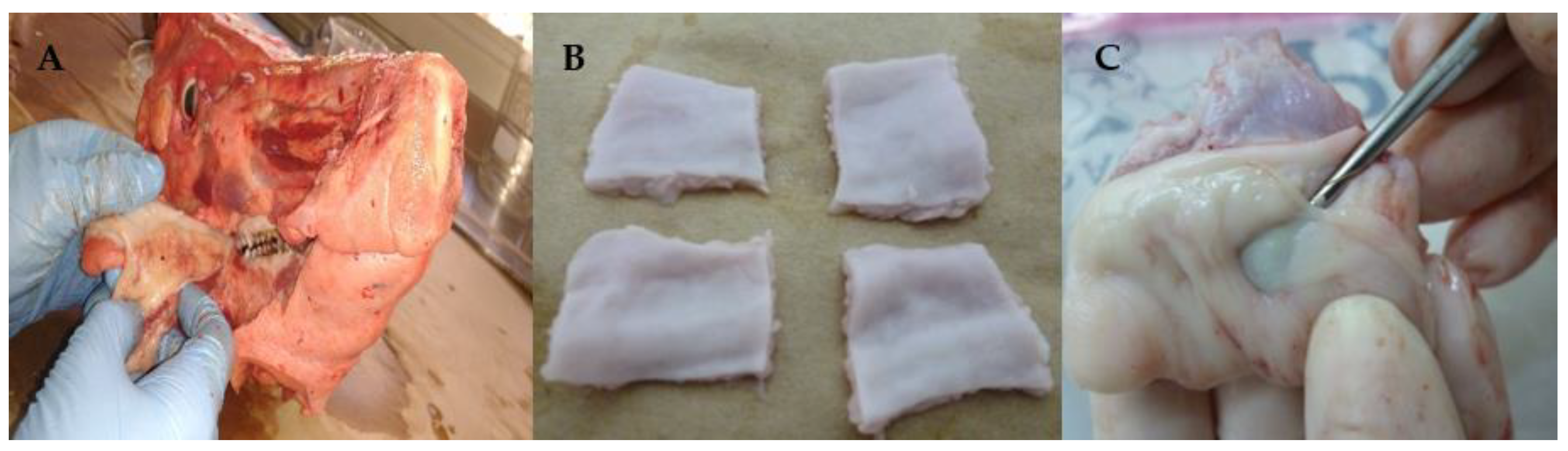 Pharmaceutics 13 00643 g002 Pharmaceutics 13 00643 g002