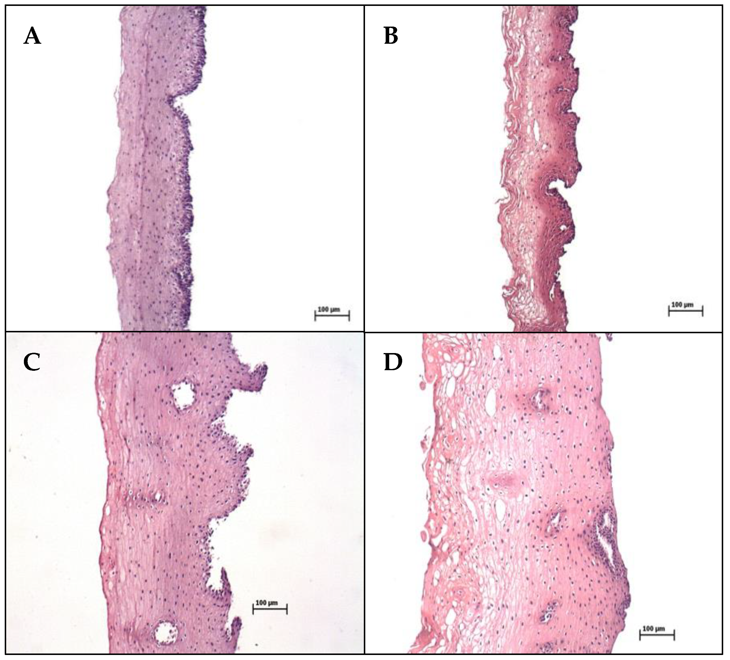 Pharmaceutics 13 00643 g003 Pharmaceutics 13 00643 g003