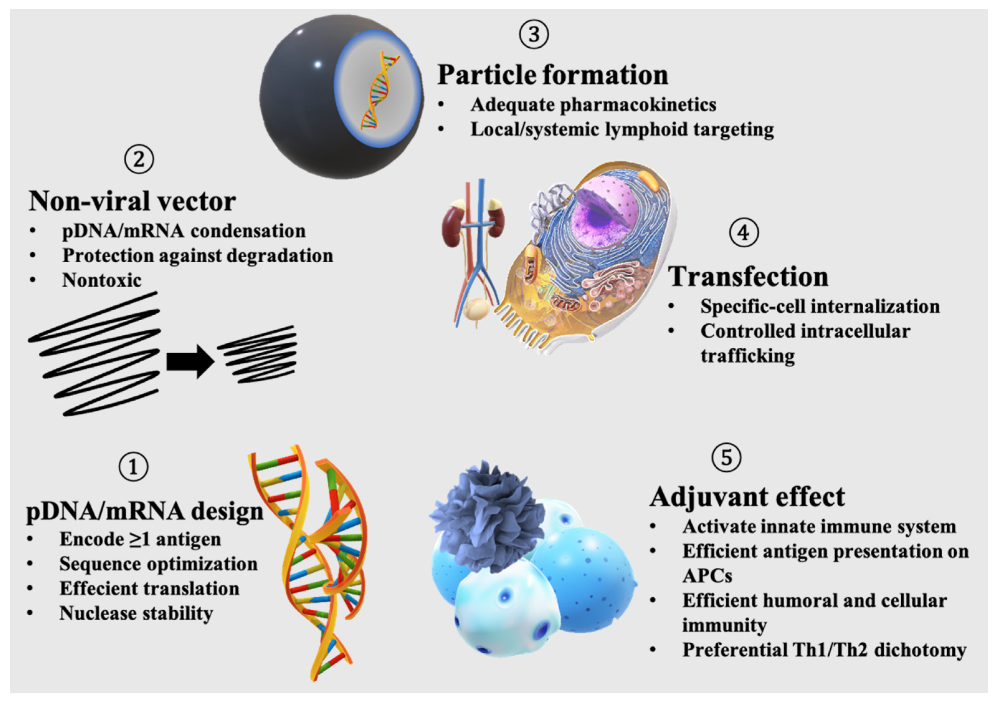 Pharmaceutics 13 00644 g001