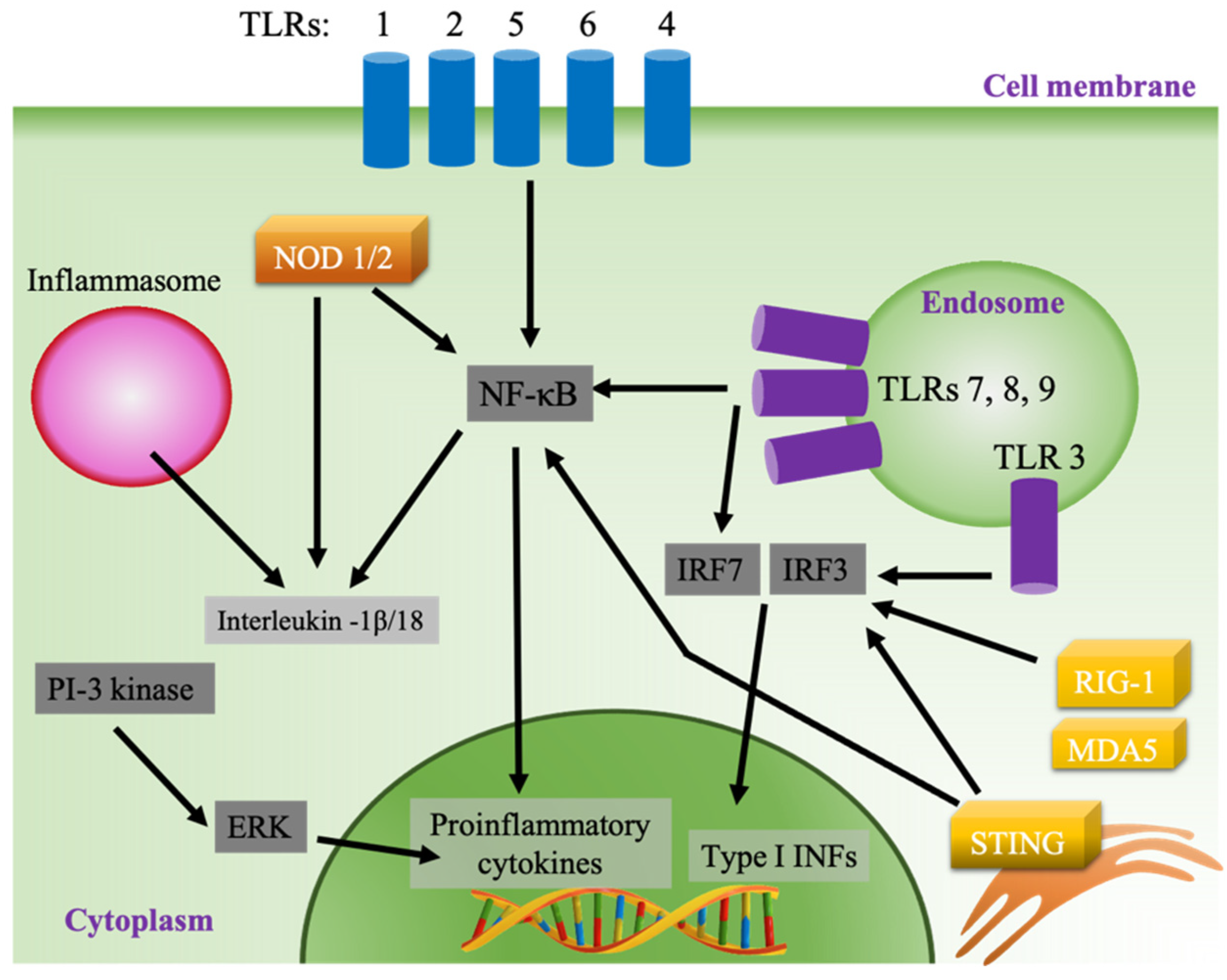Pharmaceutics 13 00644 g002