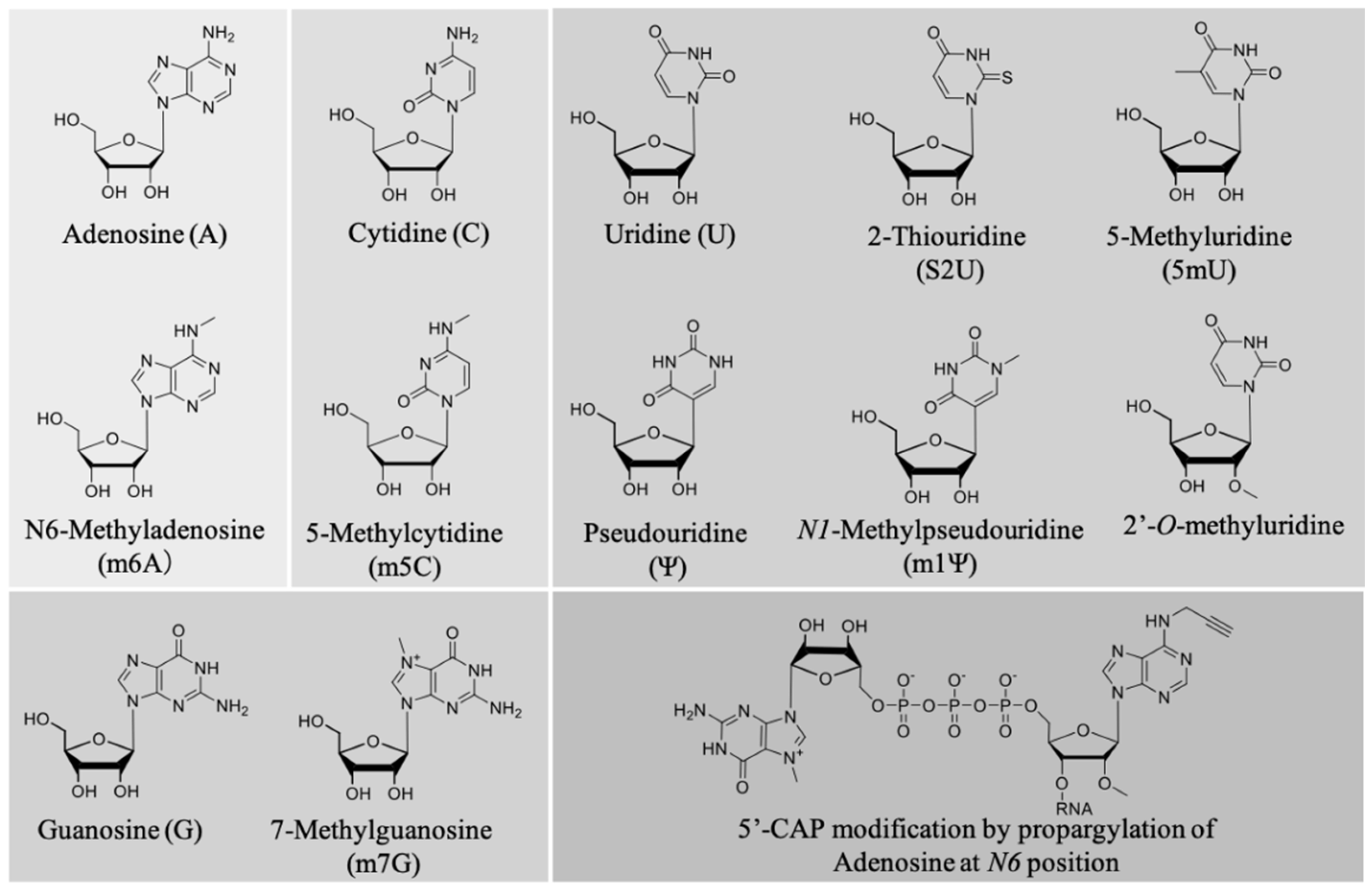 Pharmaceutics 13 00644 g005