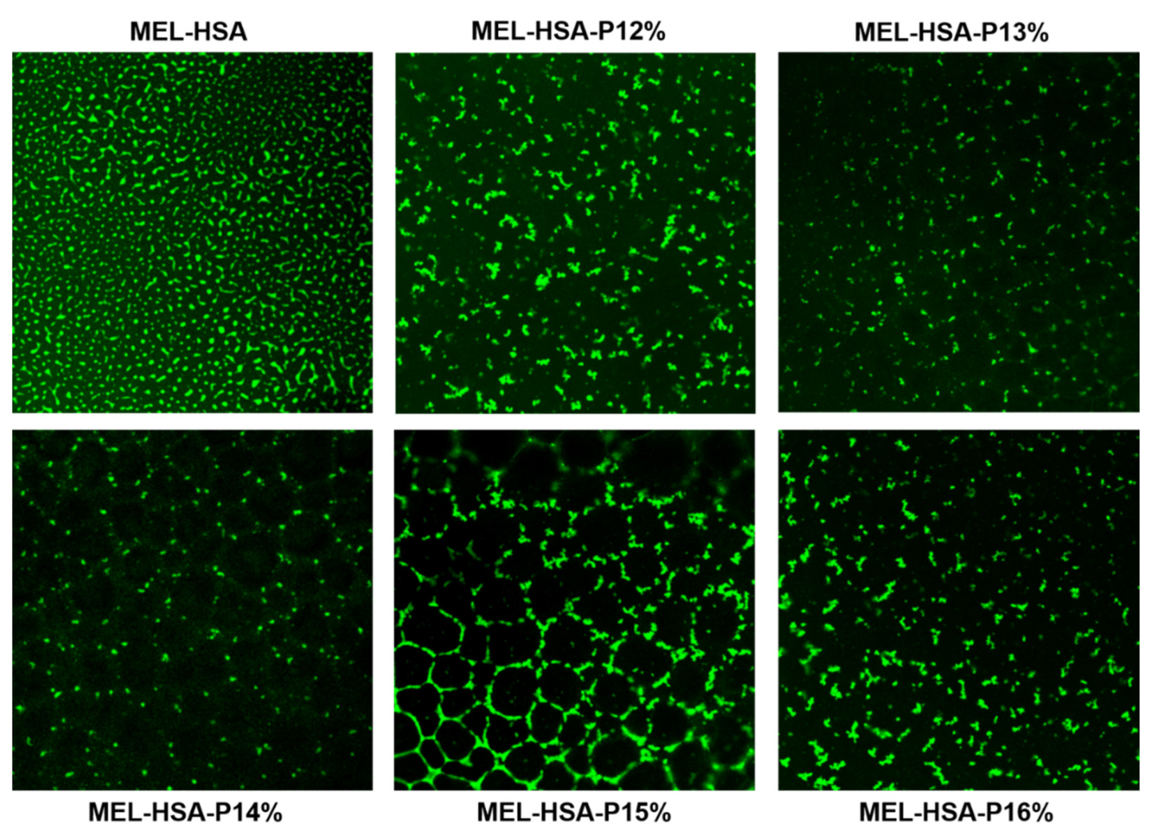 Pharmaceutics 13 00646 g005