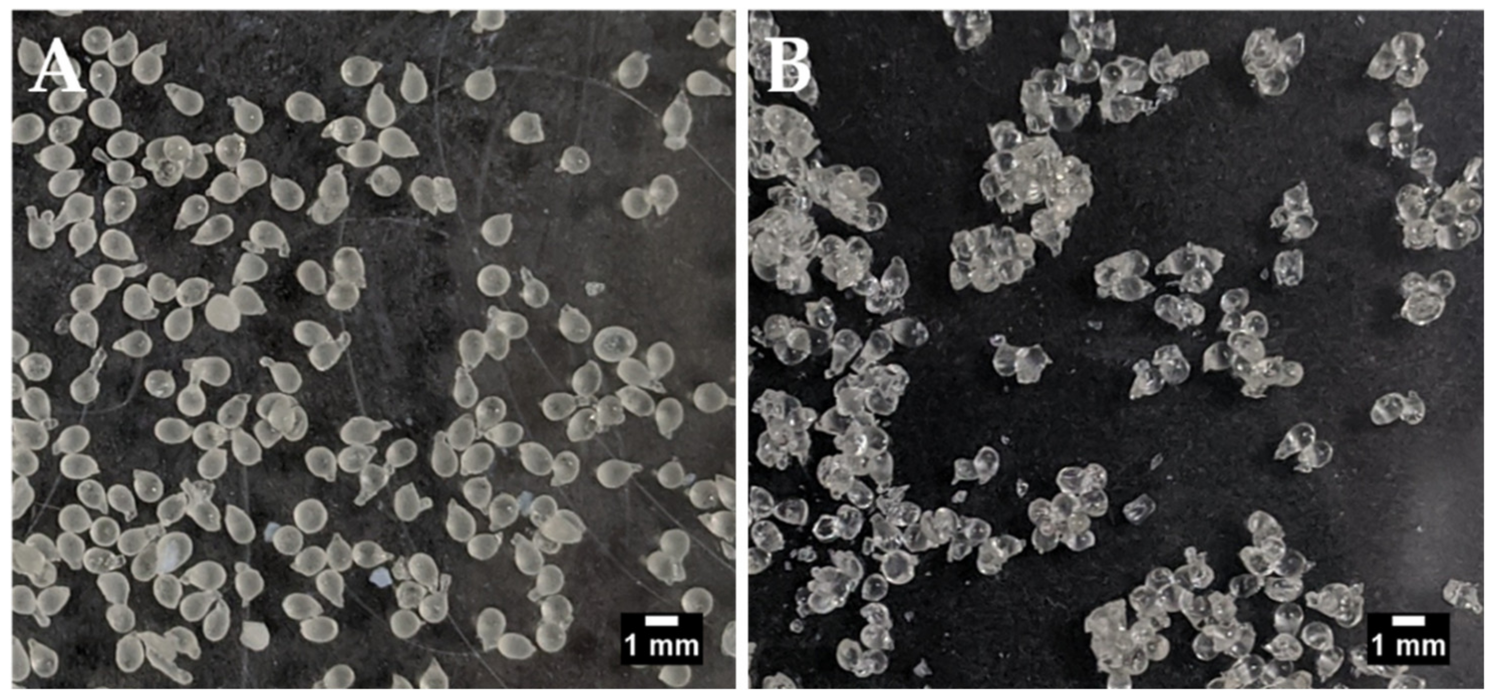 Pharmaceutics 13 00656 g001
