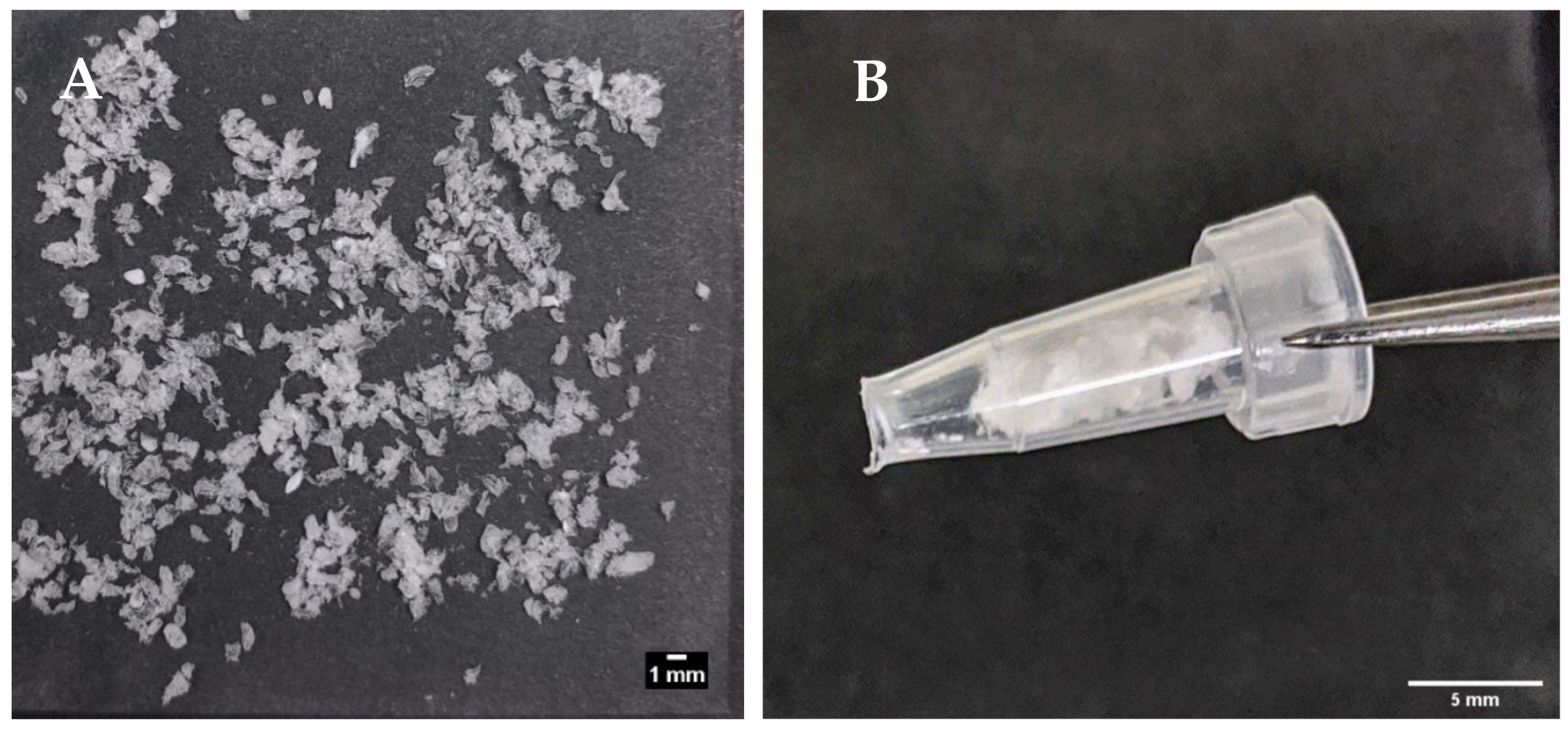 Pharmaceutics 13 00656 g006