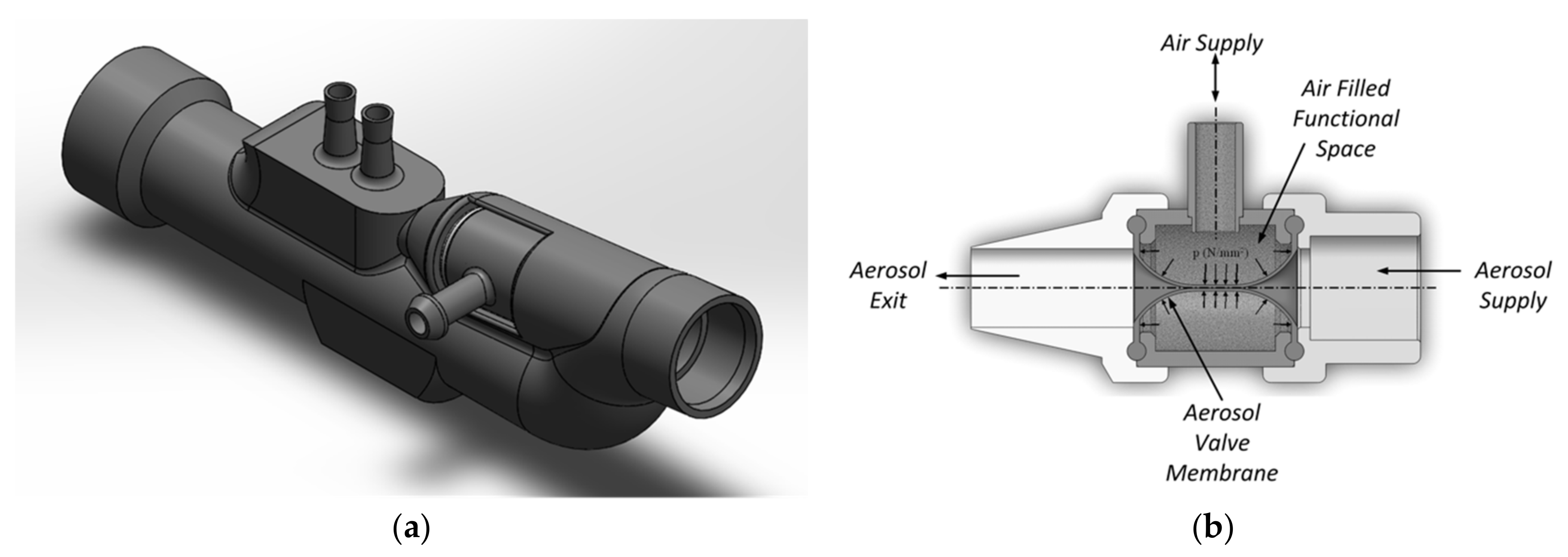 Pharmaceutics 13 00657 g001