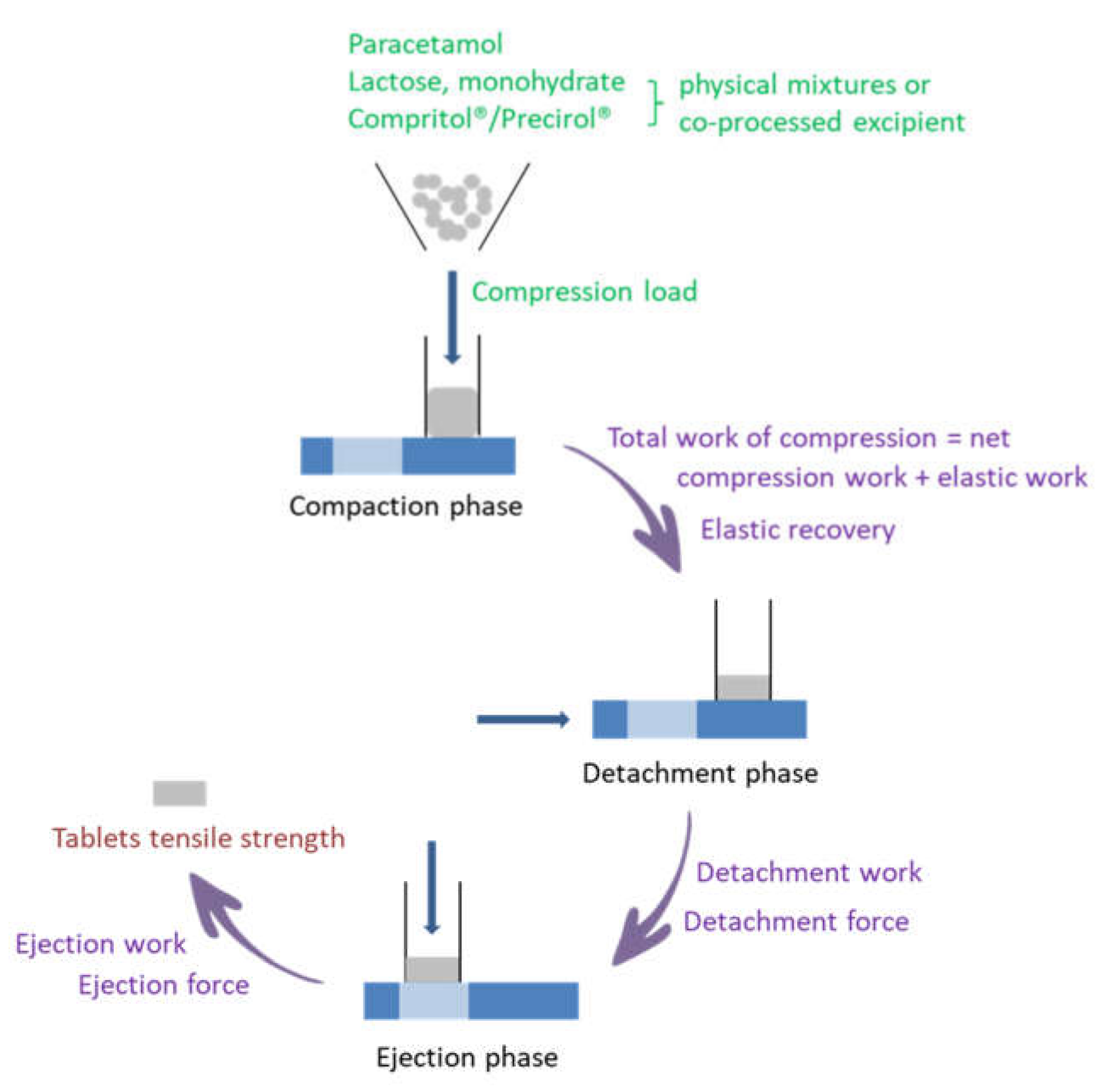 Pharmaceutics 13 00663 g001