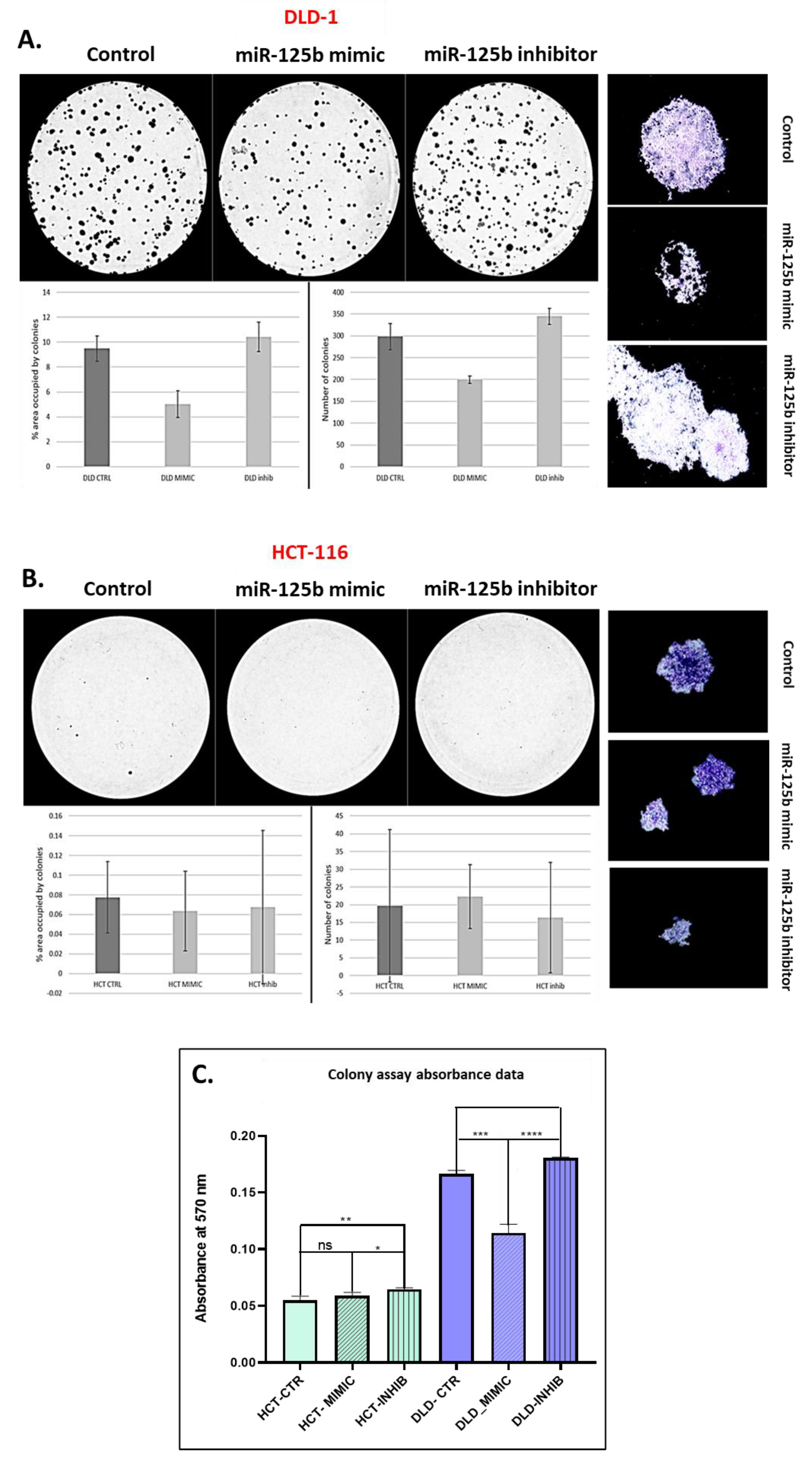 Pharmaceutics 13 00664 g005 Pharmaceutics 13 00664 g005