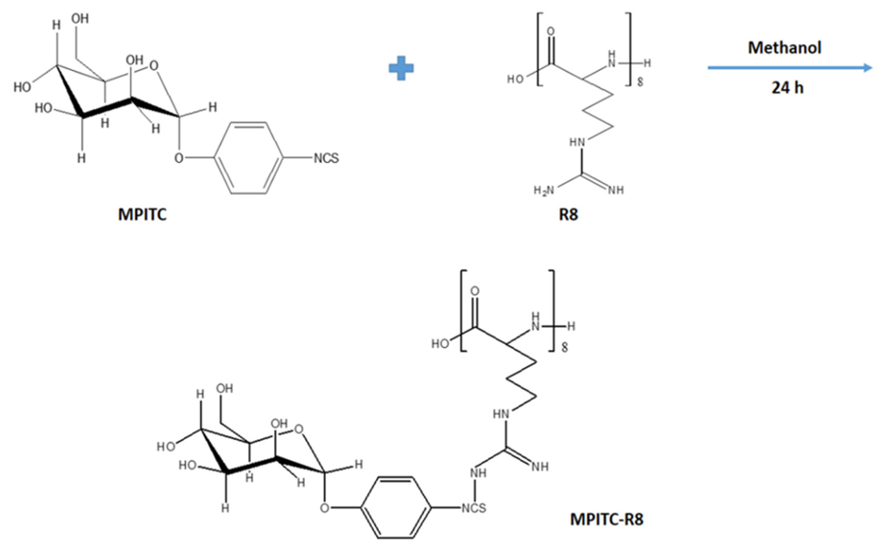 Pharmaceutics 13 00673 g001