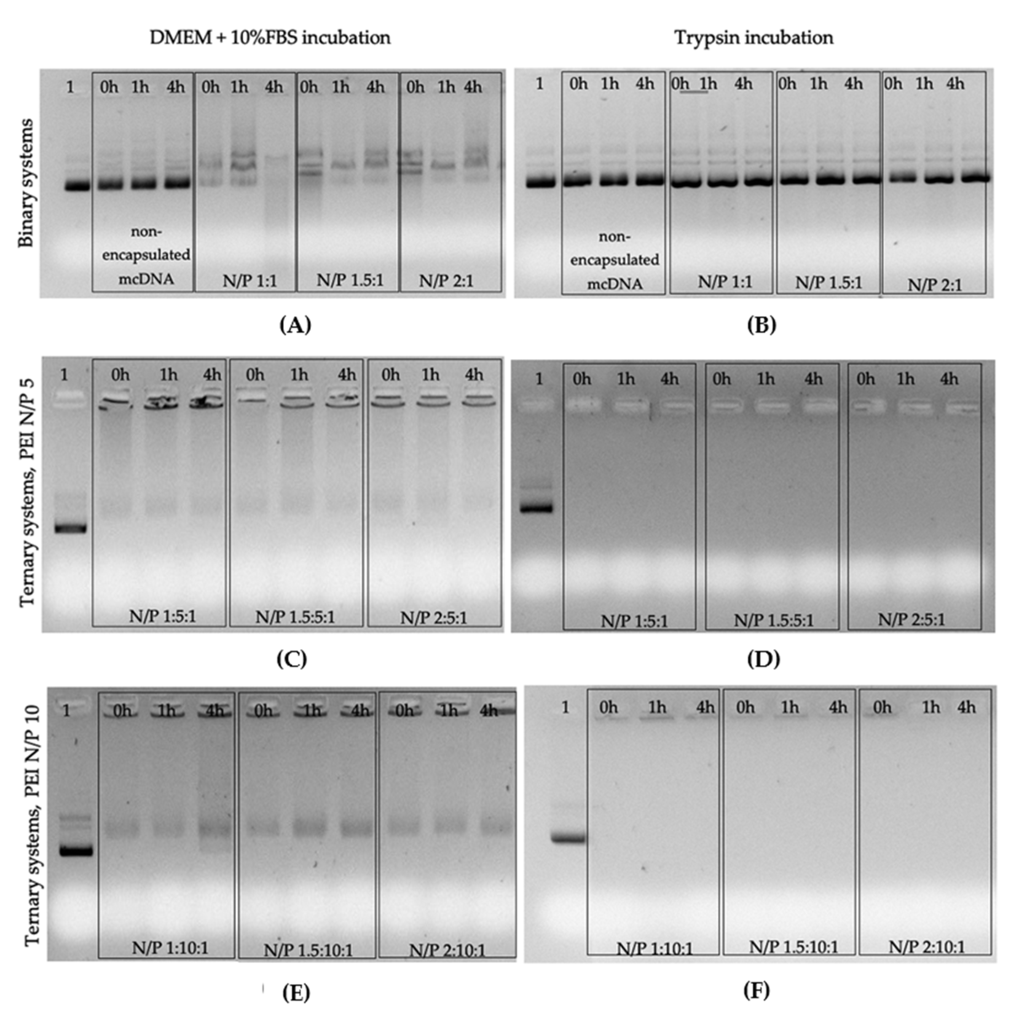 Pharmaceutics 13 00673 g006