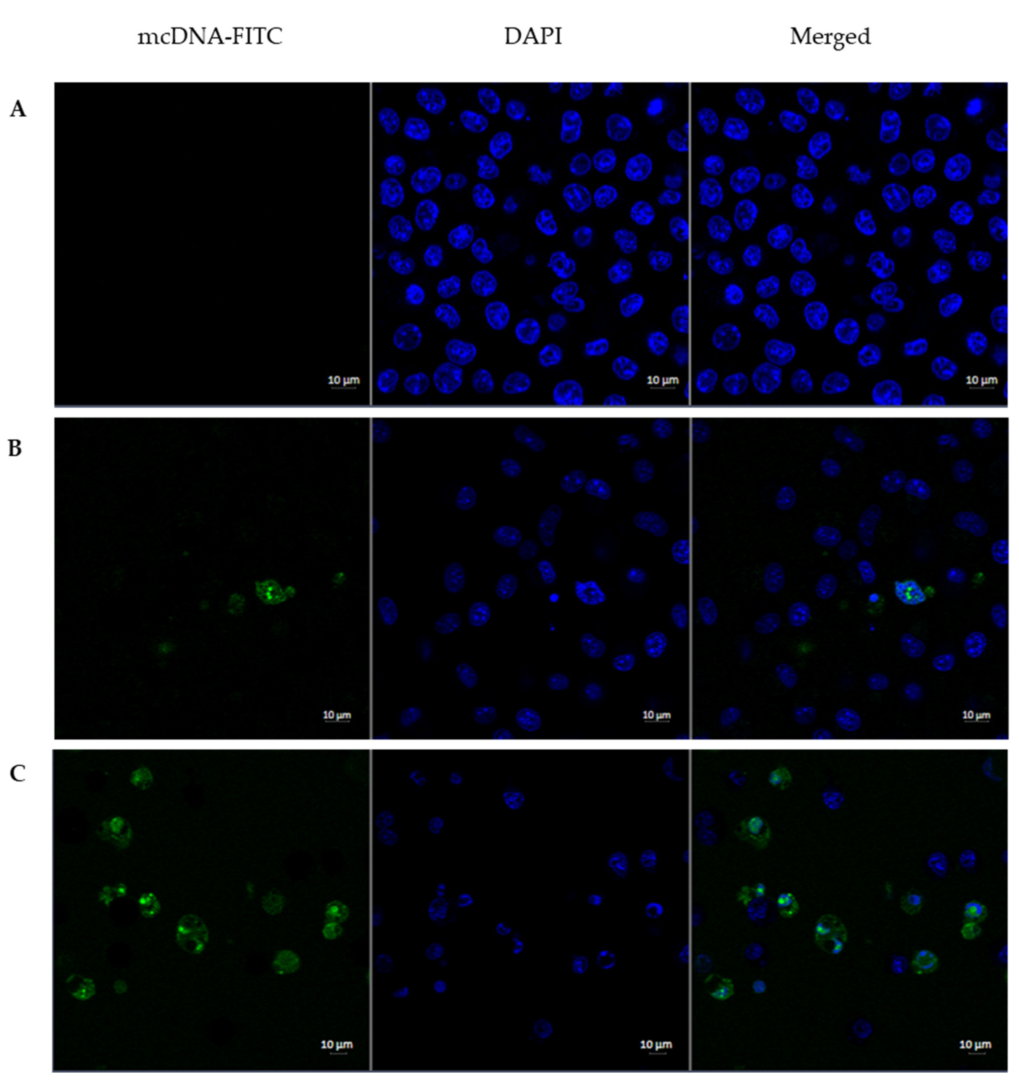 Pharmaceutics 13 00673 g008