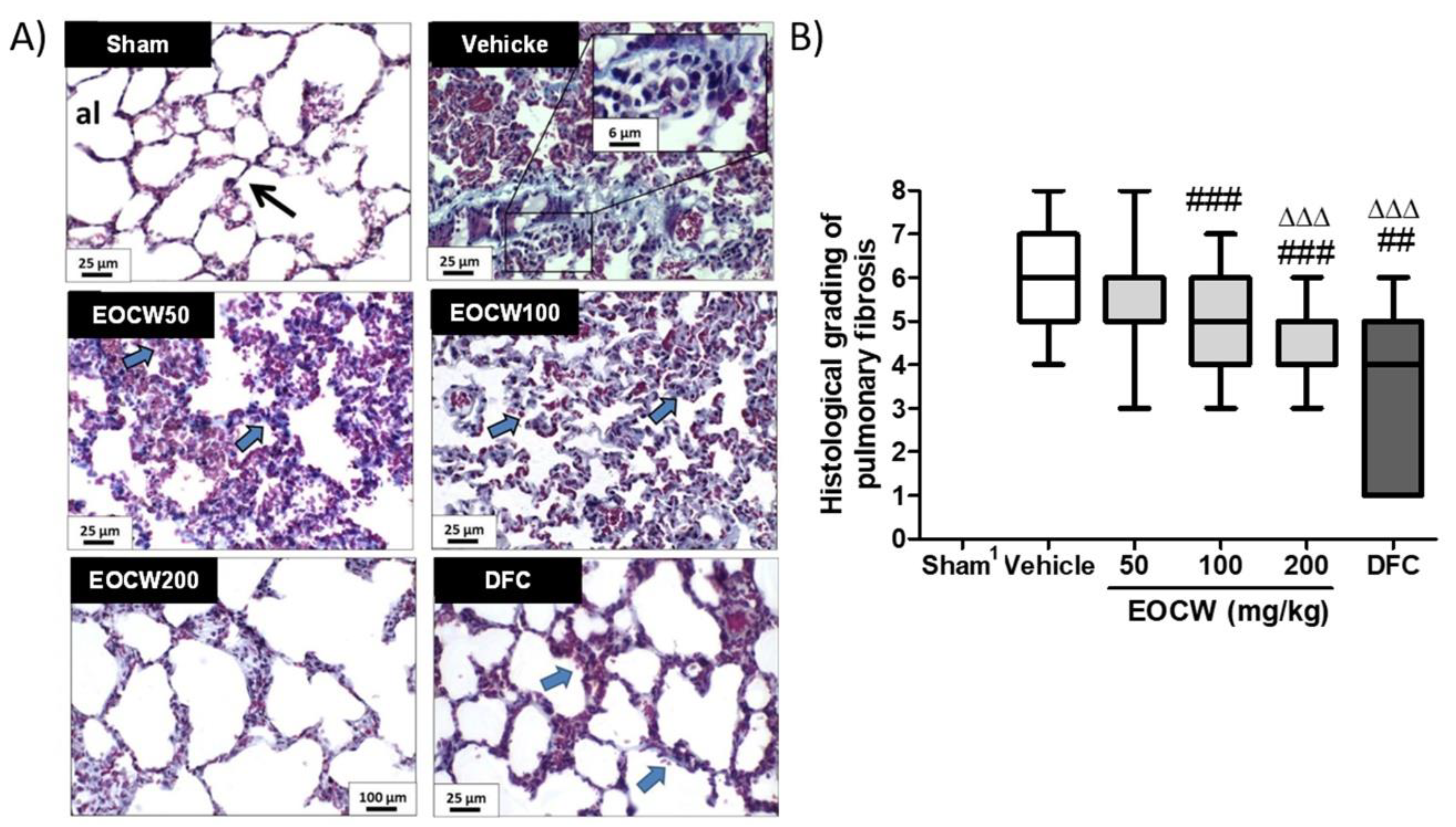 Pharmaceutics 13 00679 g003 Pharmaceutics 13 00679 g003
