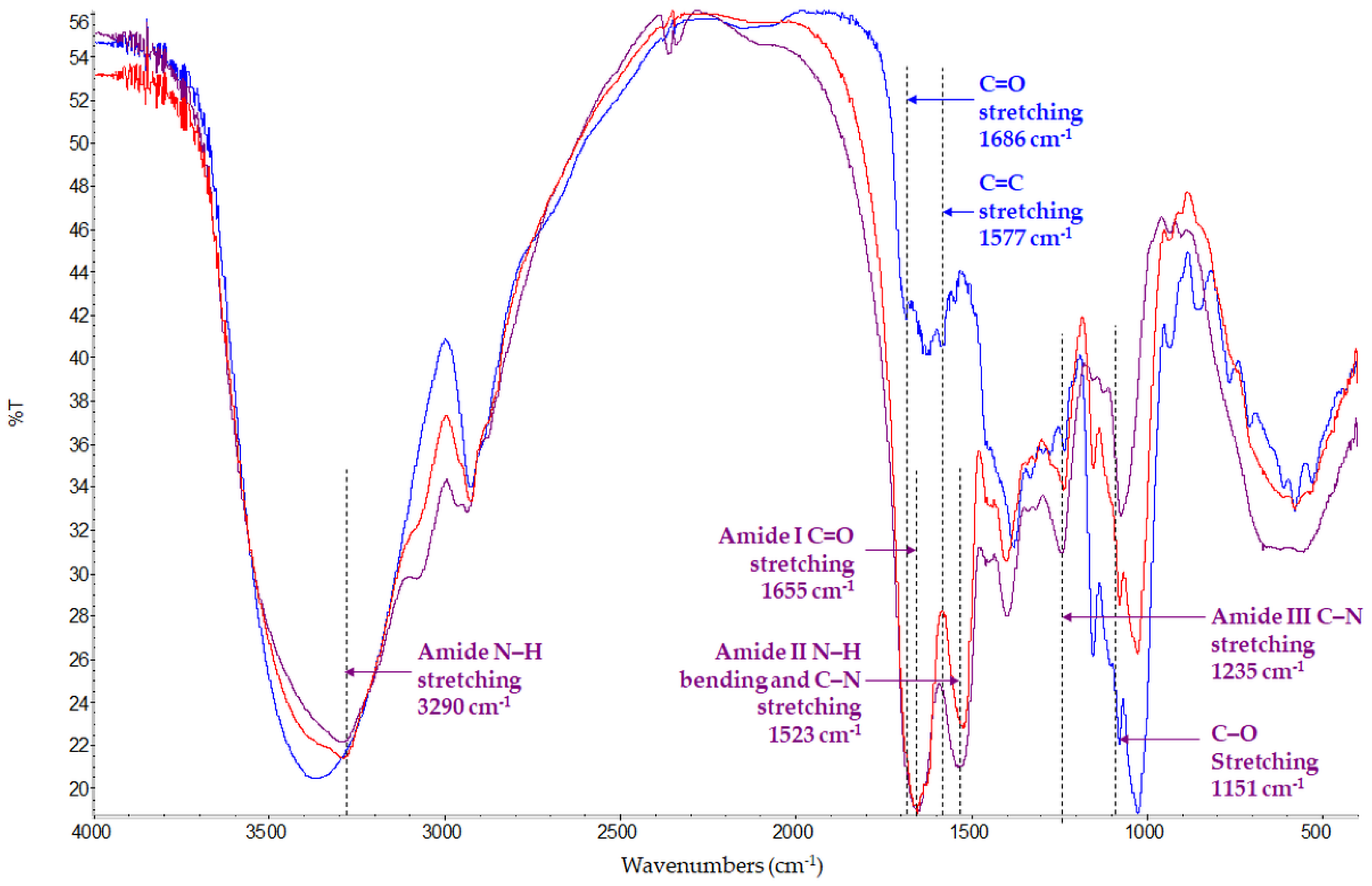 Pharmaceutics 13 00680 g003