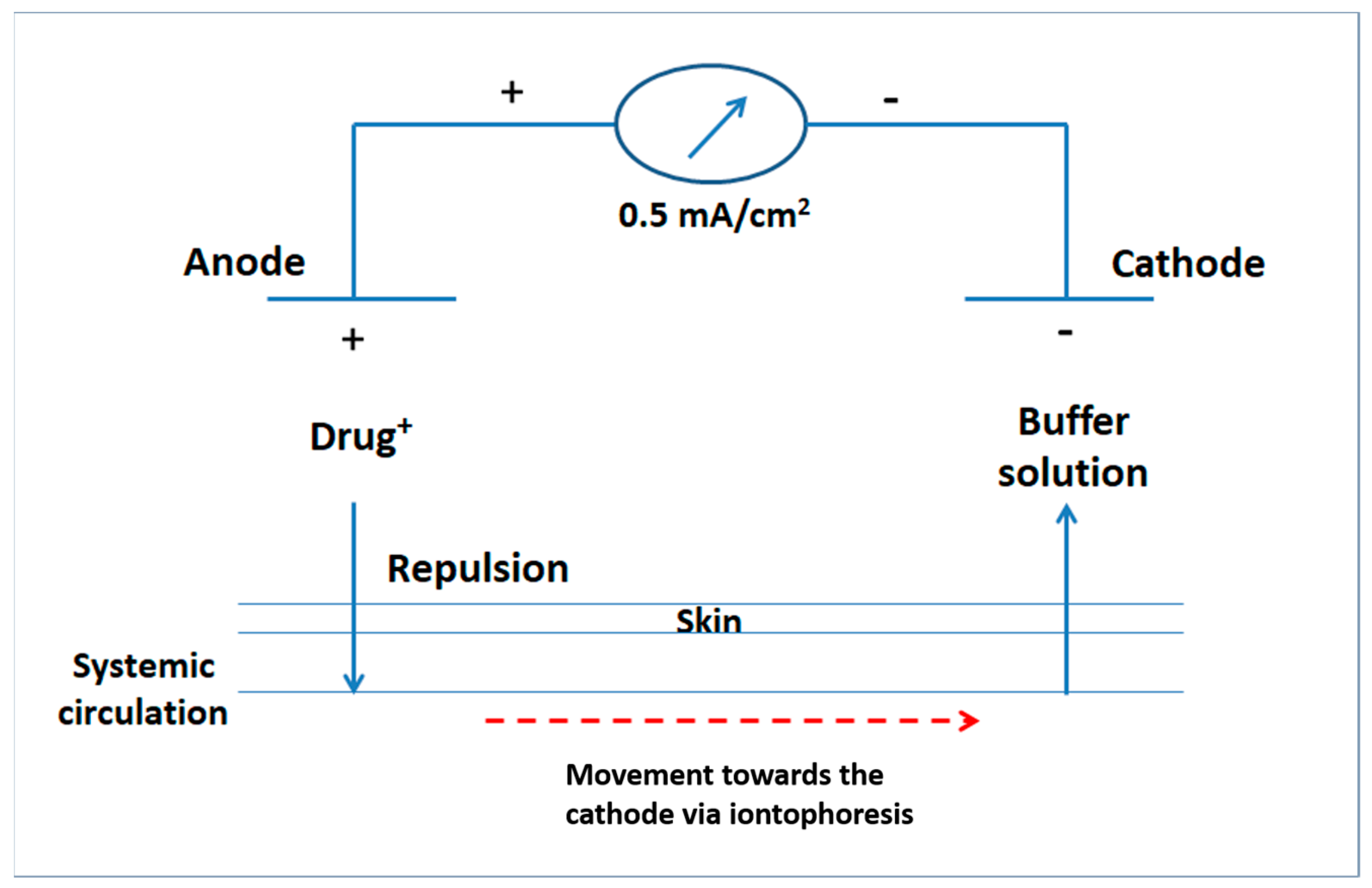 Pharmaceutics 13 00682 g001