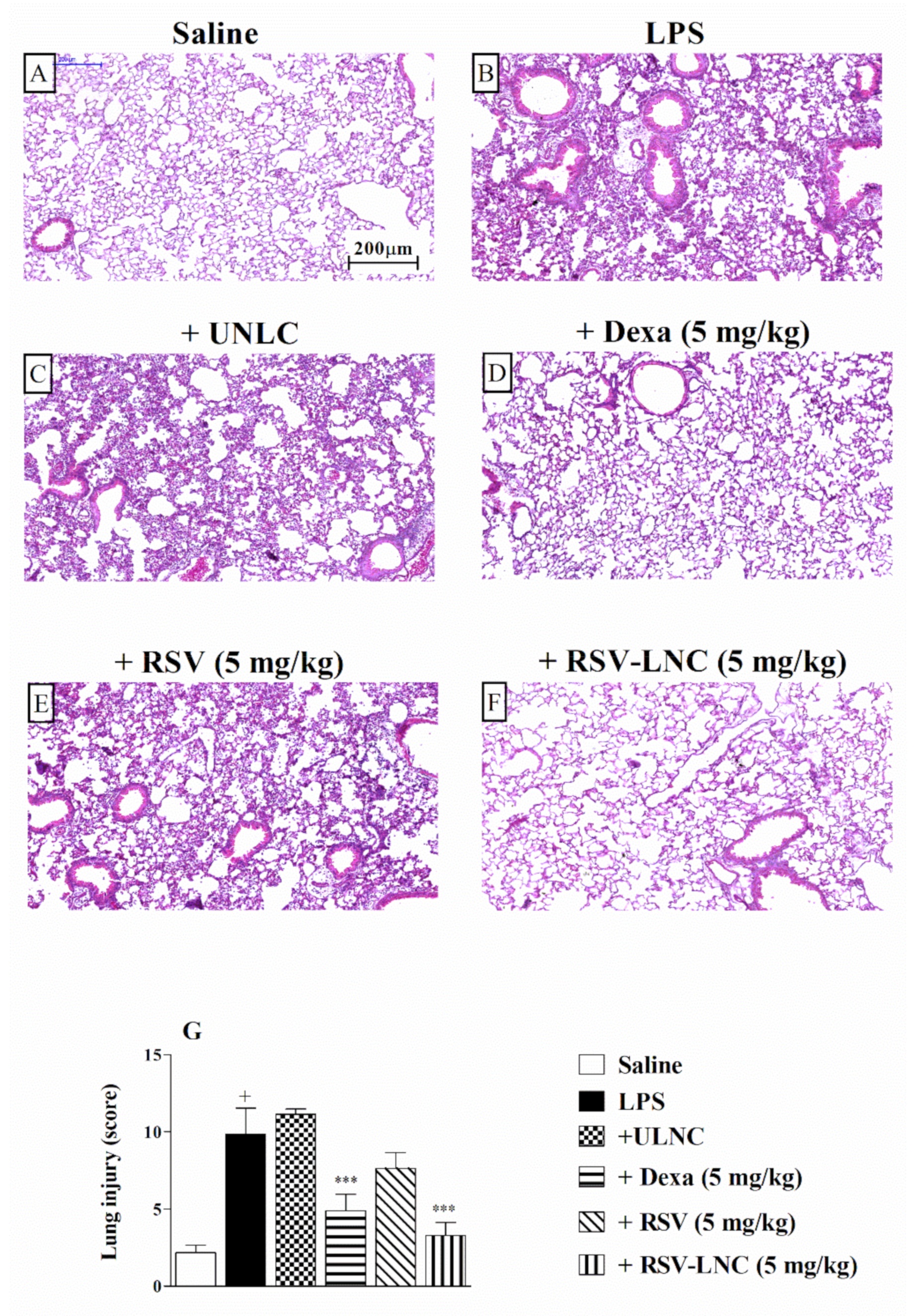 Pharmaceutics 13 00683 g002