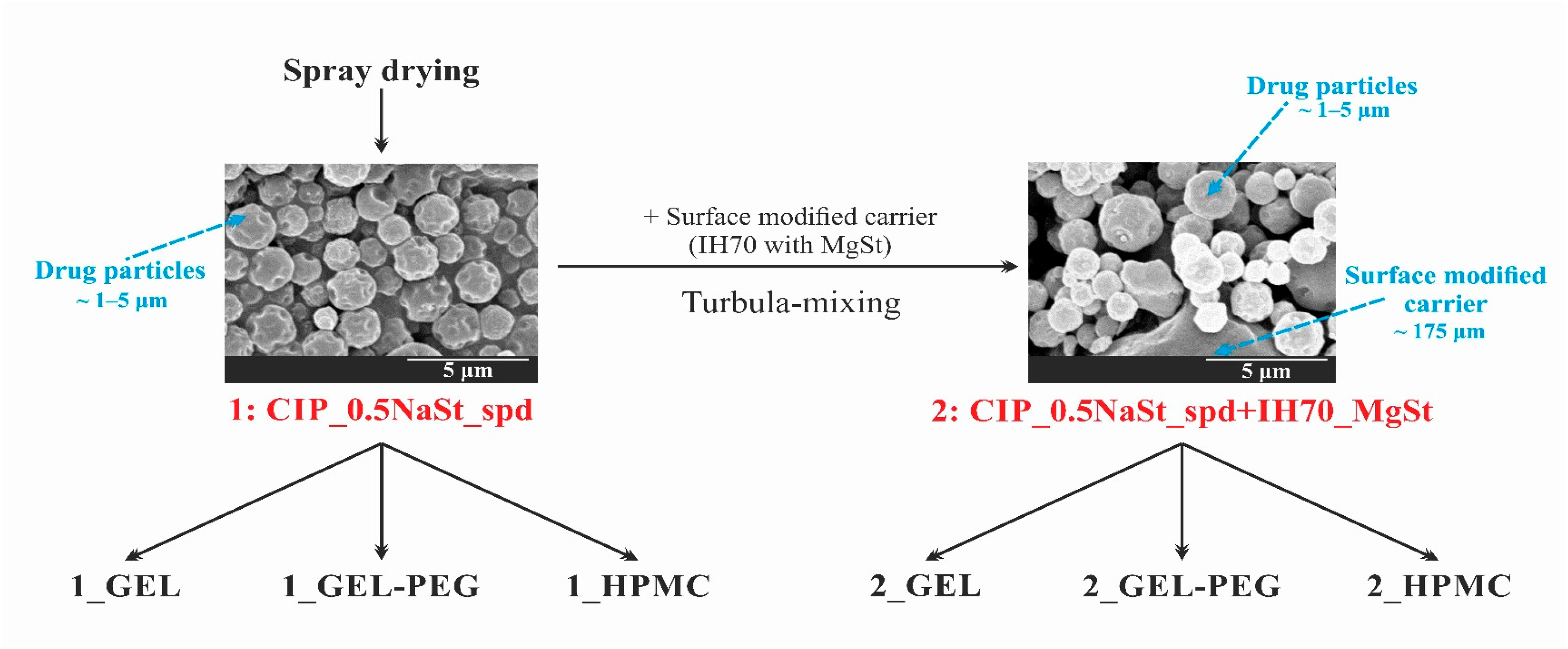 Pharmaceutics 13 00689 g001 Pharmaceutics 13 00689 g001