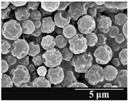 Pharmaceutics 13 00689 i013 Pharmaceutics 13 00689 i013
